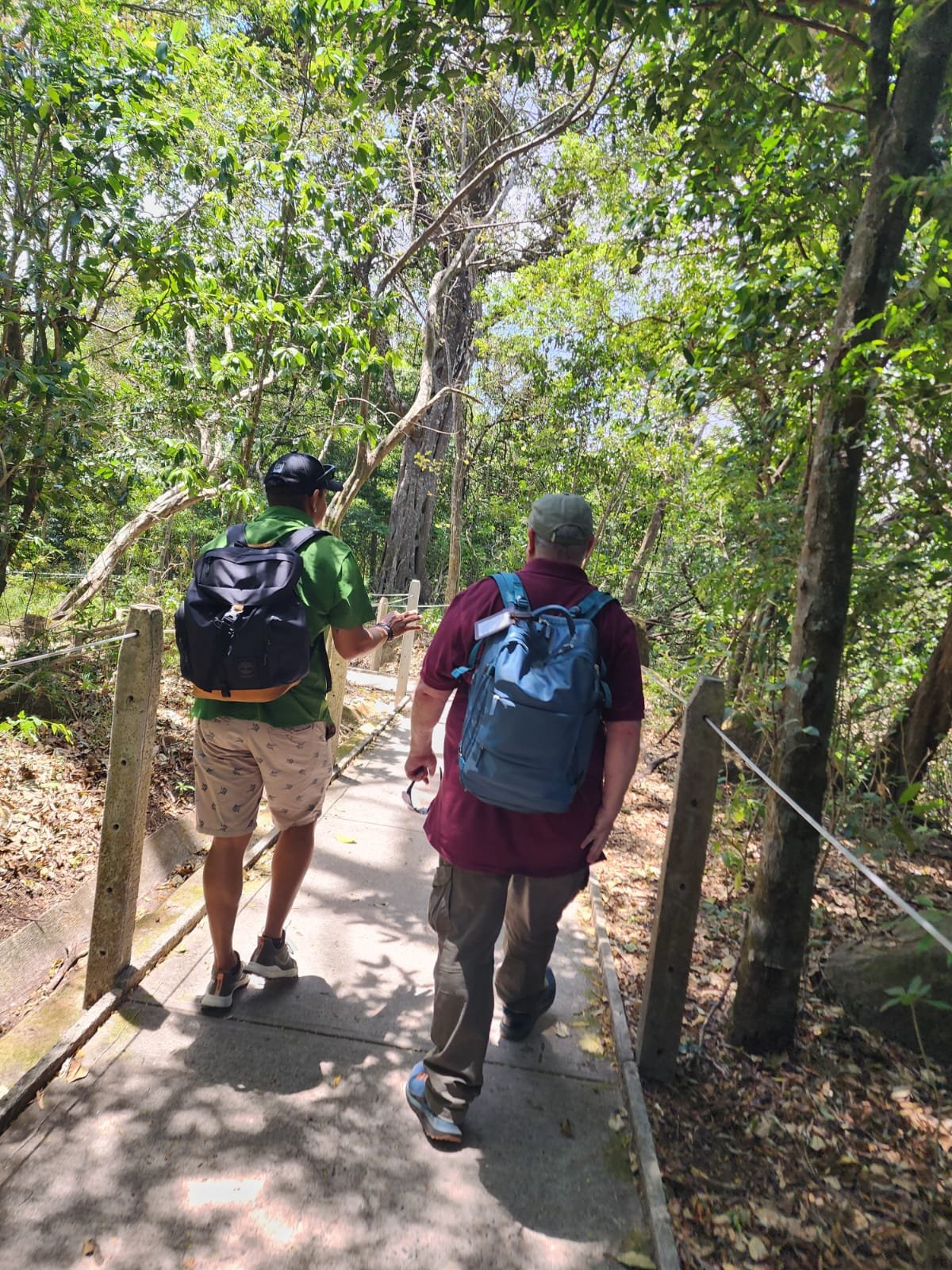 Two men hiking on a trail in a lush, green forest, carrying backpacks. Liberia Airport Shuttle. Tours in Costa Rica.