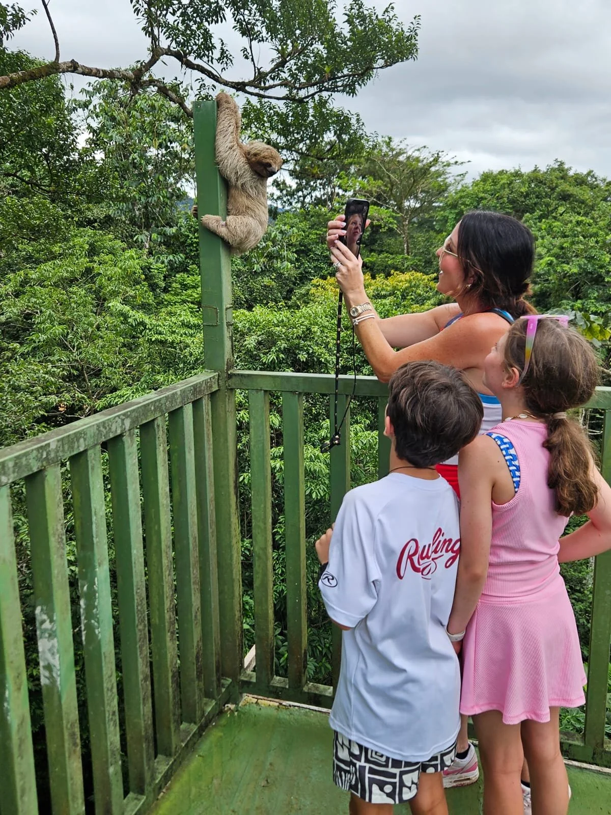 A woman and two children standing on a green wooden platform in a lush jungle, taking a selfie with a sloth hanging from a tree branch nearby. Liberia Airport Shuttle. Tours in Costa Rica.