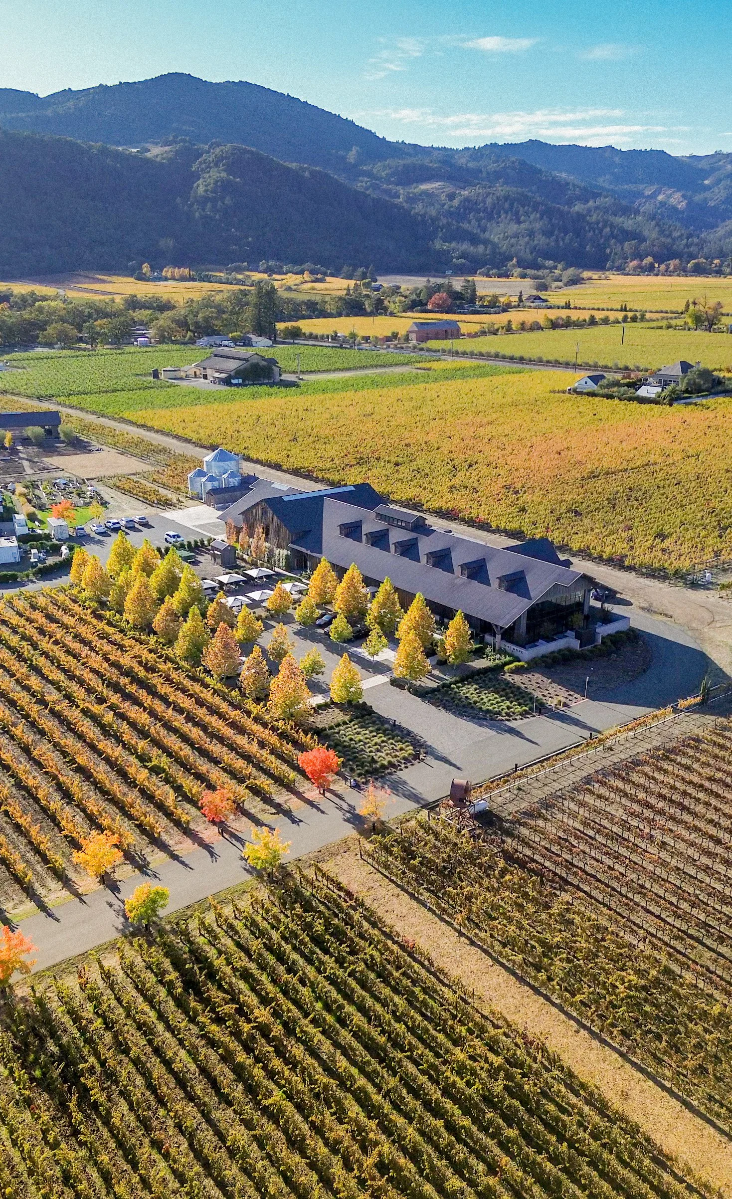 One Hope WInery Autumn Drone Shot by Julep-1.jpg