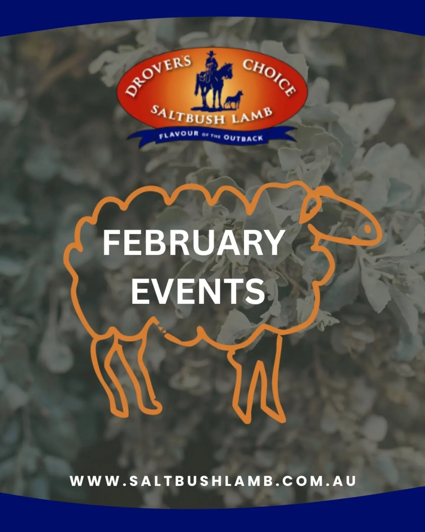 𝗪𝗵𝗲𝗿𝗲 𝗰𝗮𝗻 𝘆𝗼𝘂 𝗳𝗶𝗻𝗱 𝘂𝘀 𝘁𝗵𝗶𝘀 𝗺𝗼𝗻𝘁𝗵:

1. Lazy River Twilight Markets @lazyriverestate

2. Queanbeyan 4WD and Caravan Expo @outdoorlivingcaravanexpo

3. Bedgerabong Picnic Races @bedgerabongraces

4. NSW Junior State Cup Touch F