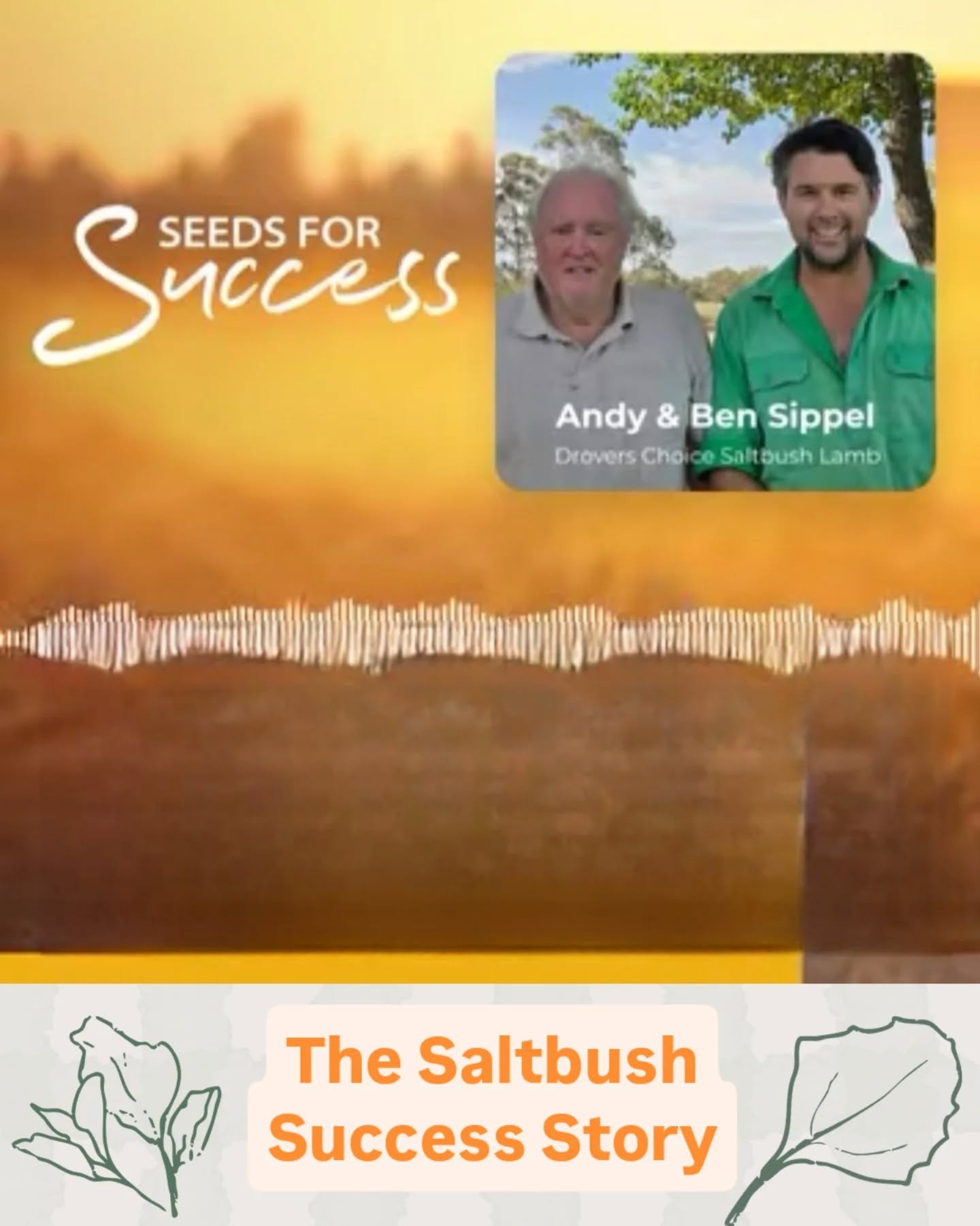 🎧 𝗣𝗼𝗱𝗰𝗮𝘀𝘁 𝗮𝗹𝗲𝗿𝘁!

Ben and his dad Andy sat down with Tim Bartimote on Local Land Services&rsquo; Seeds for Success to share the story of Saltbush Lamb - from the very beginnings of the Saltbush plants to  our now thriving business.

Epis