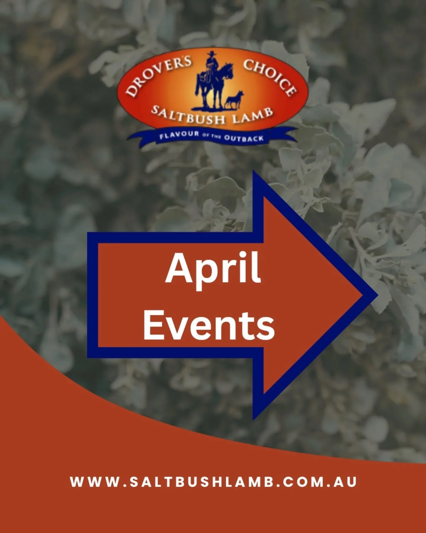 𝗡𝗲𝗲𝗱 𝗺𝗼𝗿𝗲 𝗦𝗮𝗹𝘁𝗯𝘂𝘀𝗵 𝗹𝗮𝗺𝗯 𝗶𝗻 𝘆𝗼𝘂𝗿 𝗹𝗶𝗳𝗲?!

This is where you&rsquo;ll find us adventuring around the country this month!