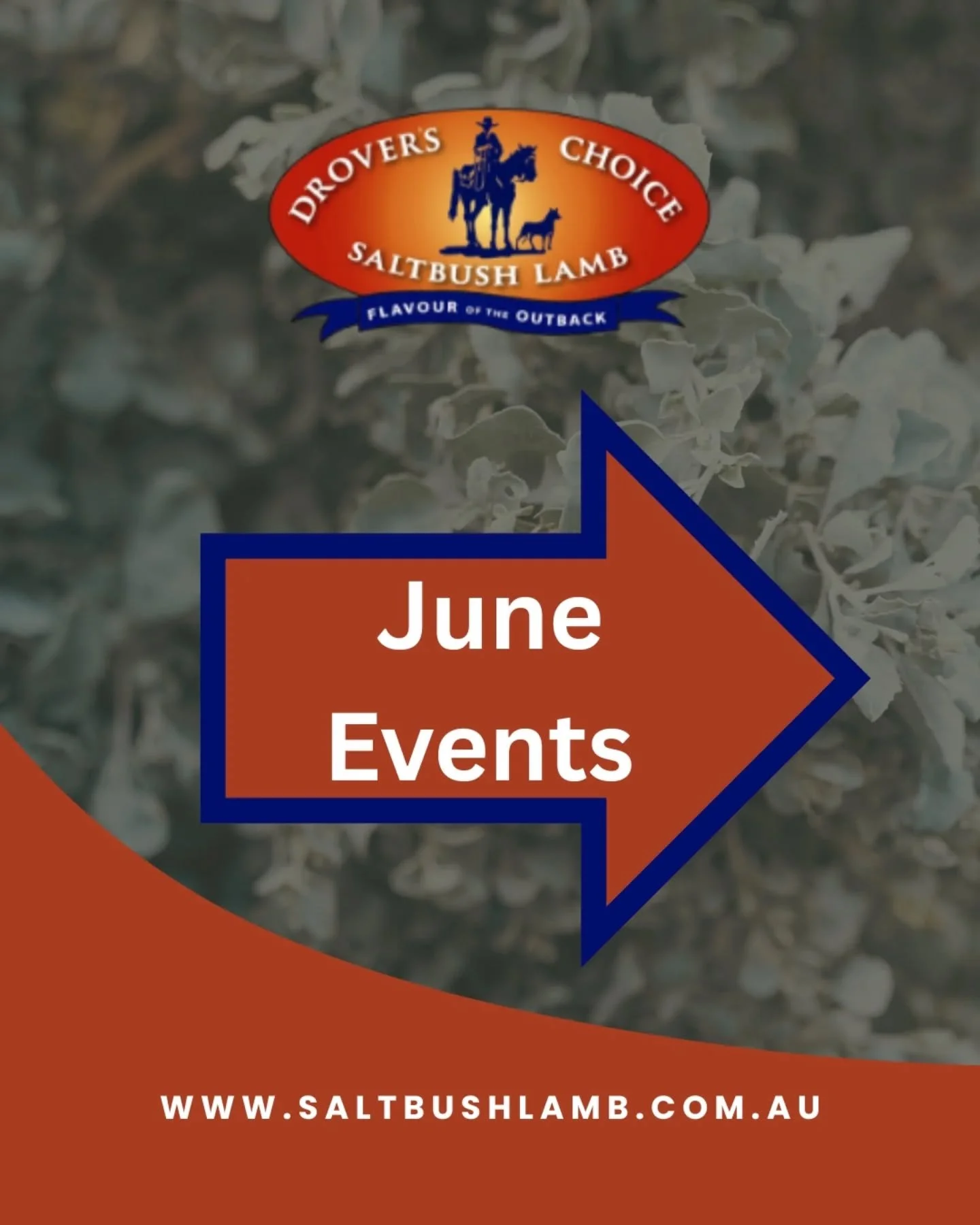 📍𝗚𝗼𝗶𝗻𝗴 𝗶𝗻𝘁𝗲𝗿𝘀𝘁𝗮𝘁𝗲 𝘁𝗵𝗶𝘀 𝗺𝗼𝗻𝘁𝗵

Kicking things off in Toowoomba, then you&rsquo;ll find us making our way through Bathurst, Coonamble, Merriwa, Dubbo, Coffs Harbour, Forbes, Narromine and Tamworth.

🎵 In the words of The Beach