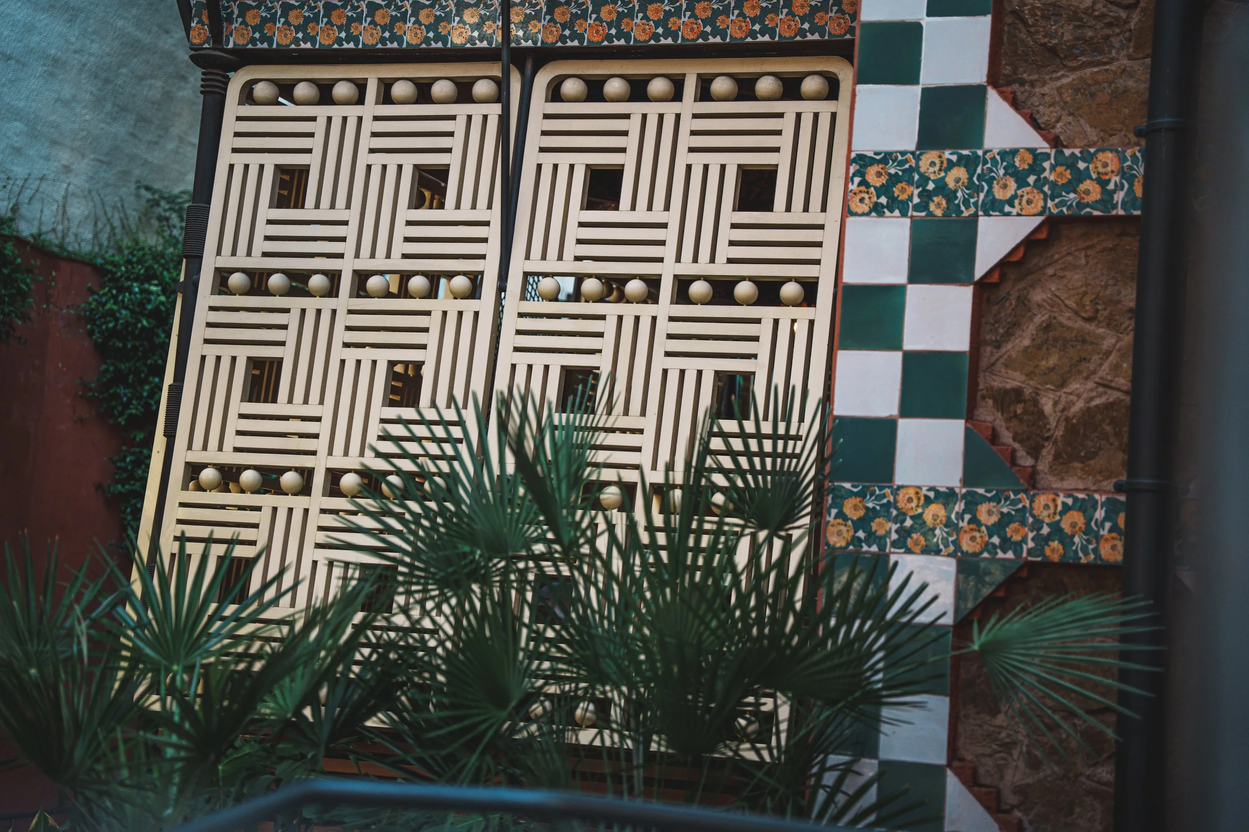 DSC08782.jpg