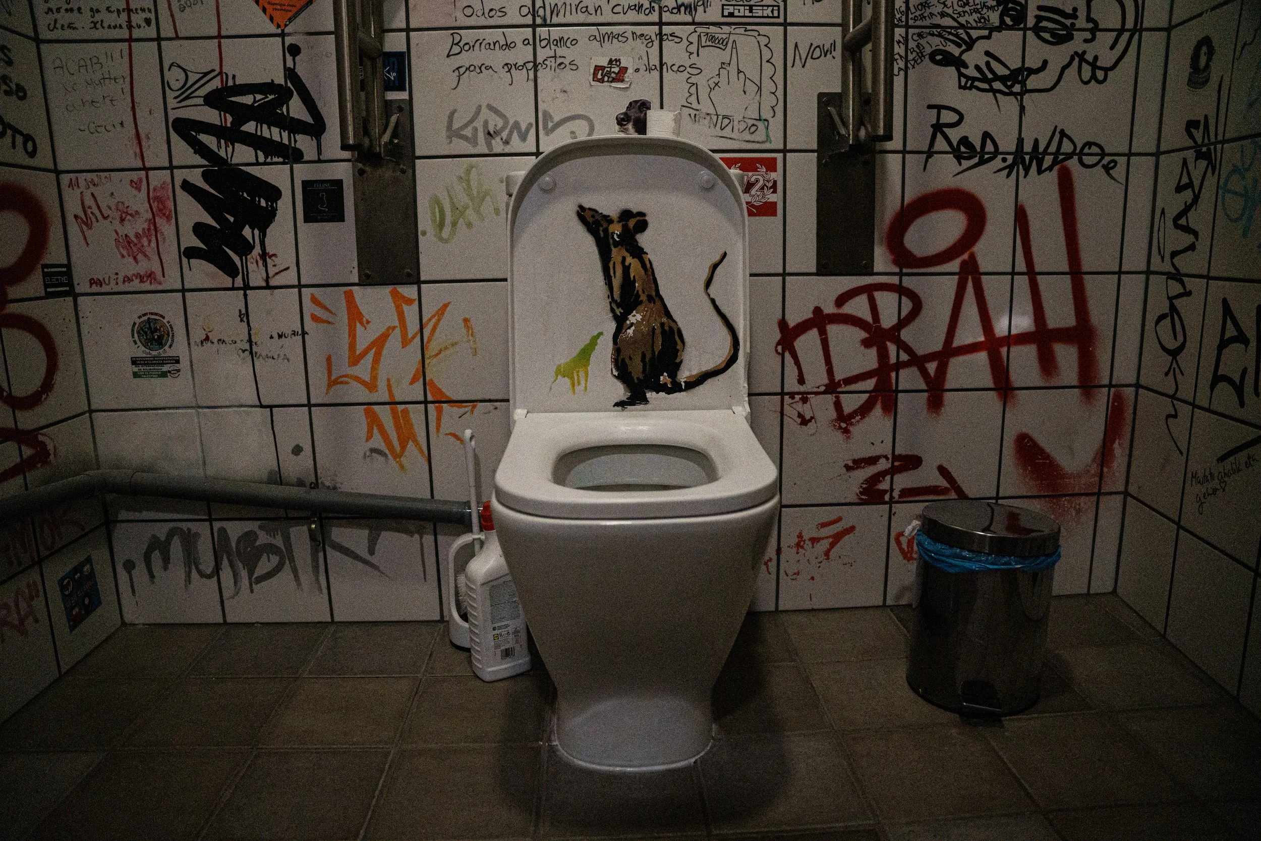 DSC09768.jpg