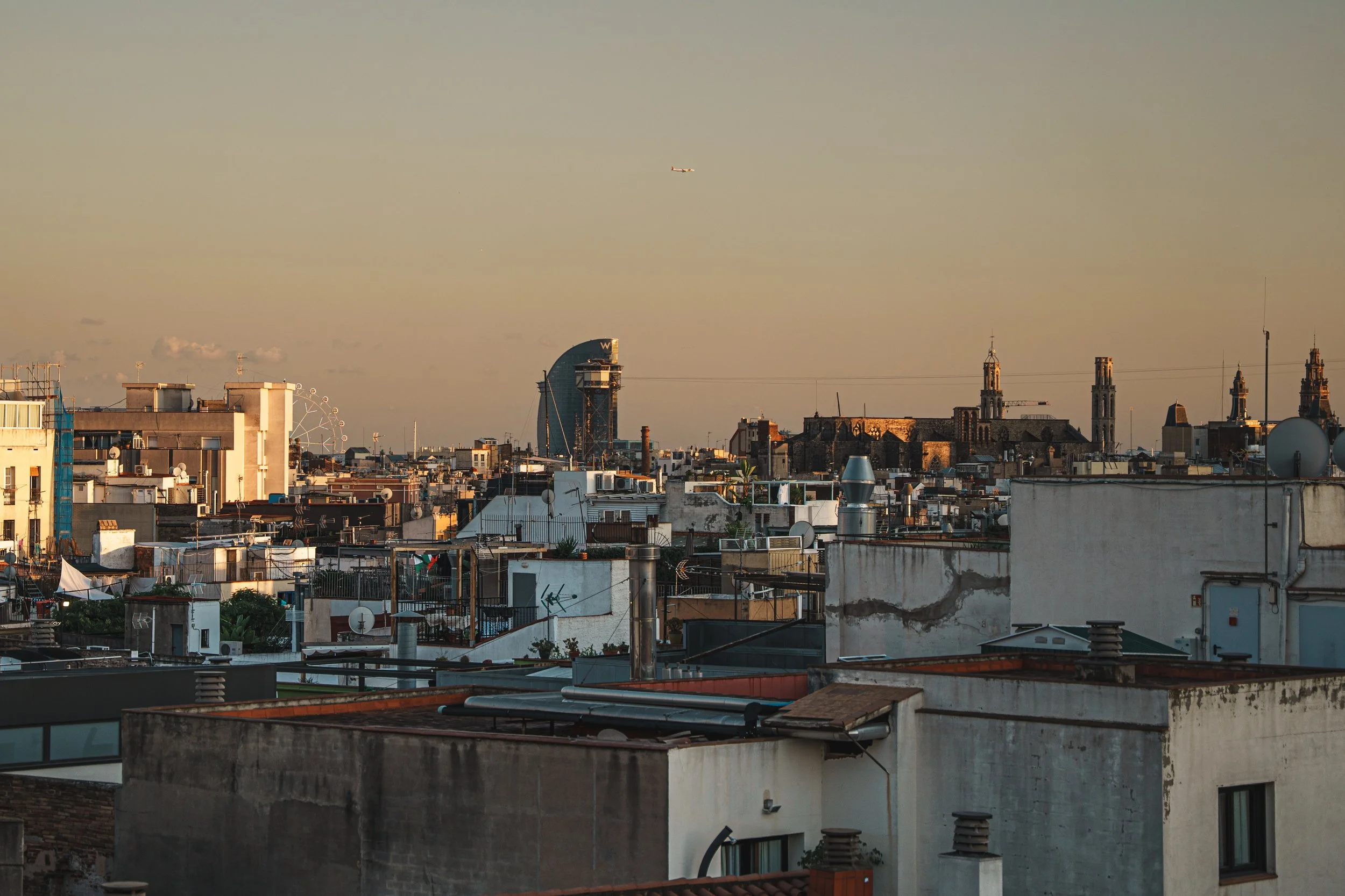 DSC08826.jpg