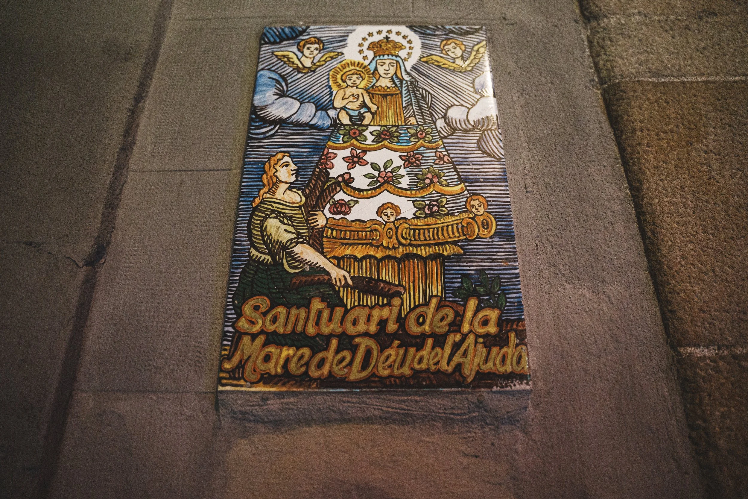 DSC08359.jpg