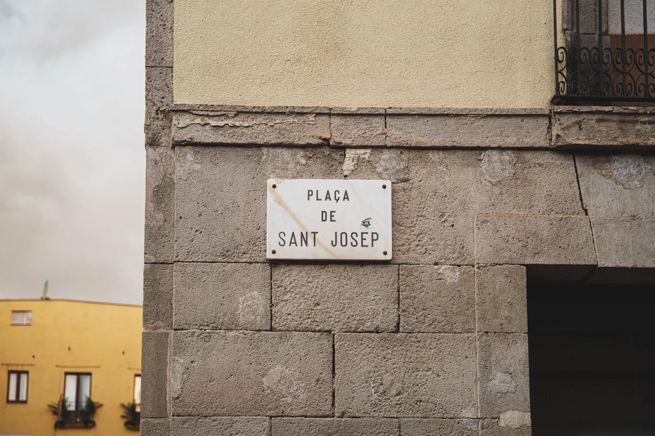 DSC08254.jpg