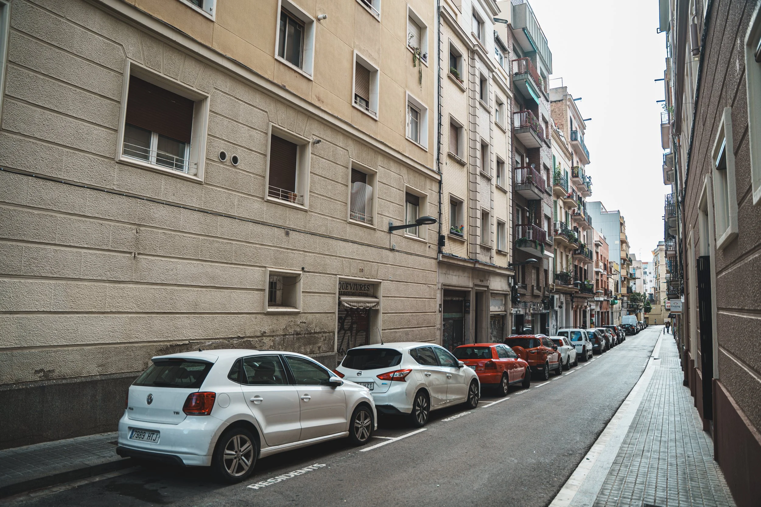 DSC08714.jpg