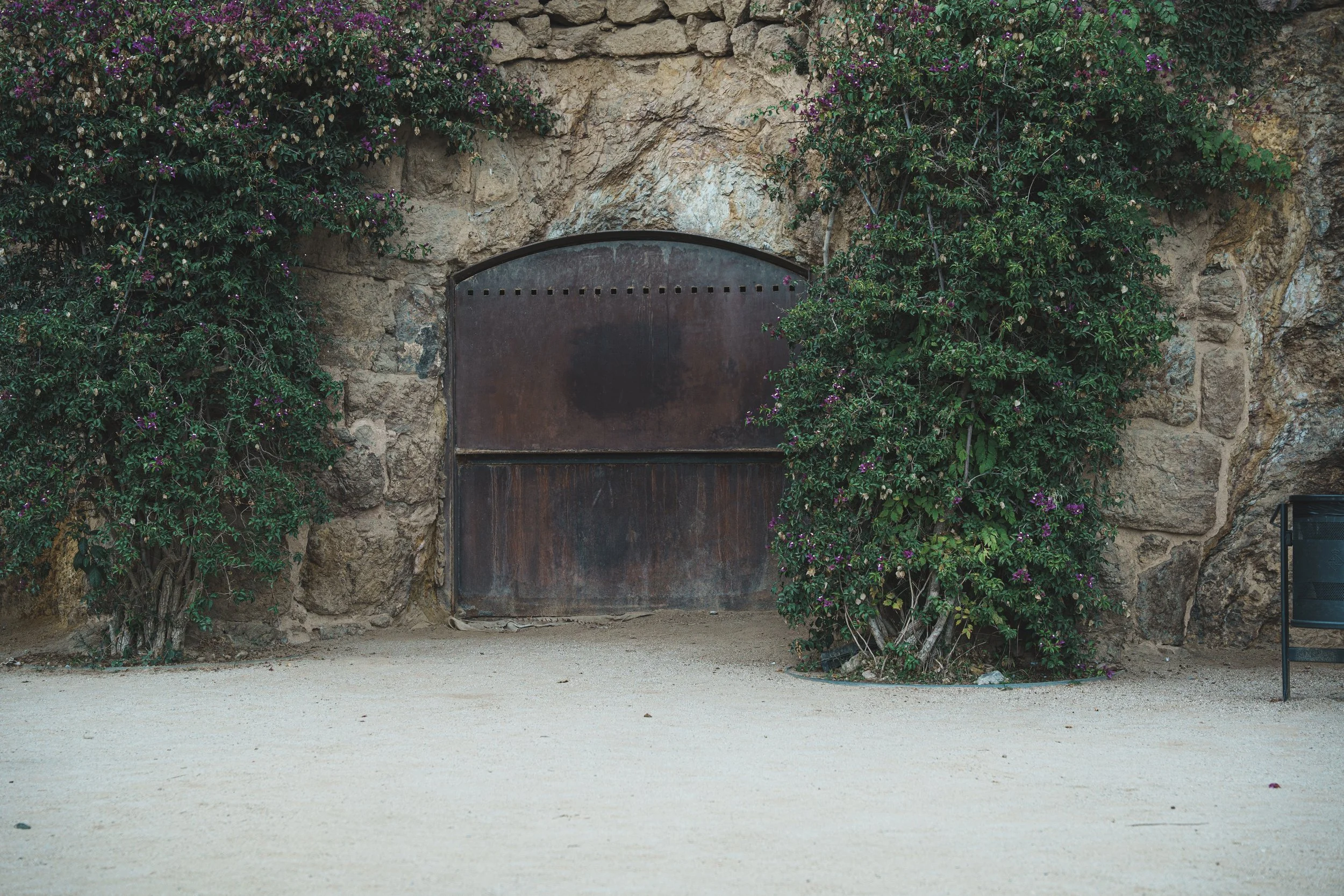 DSC08503.jpg
