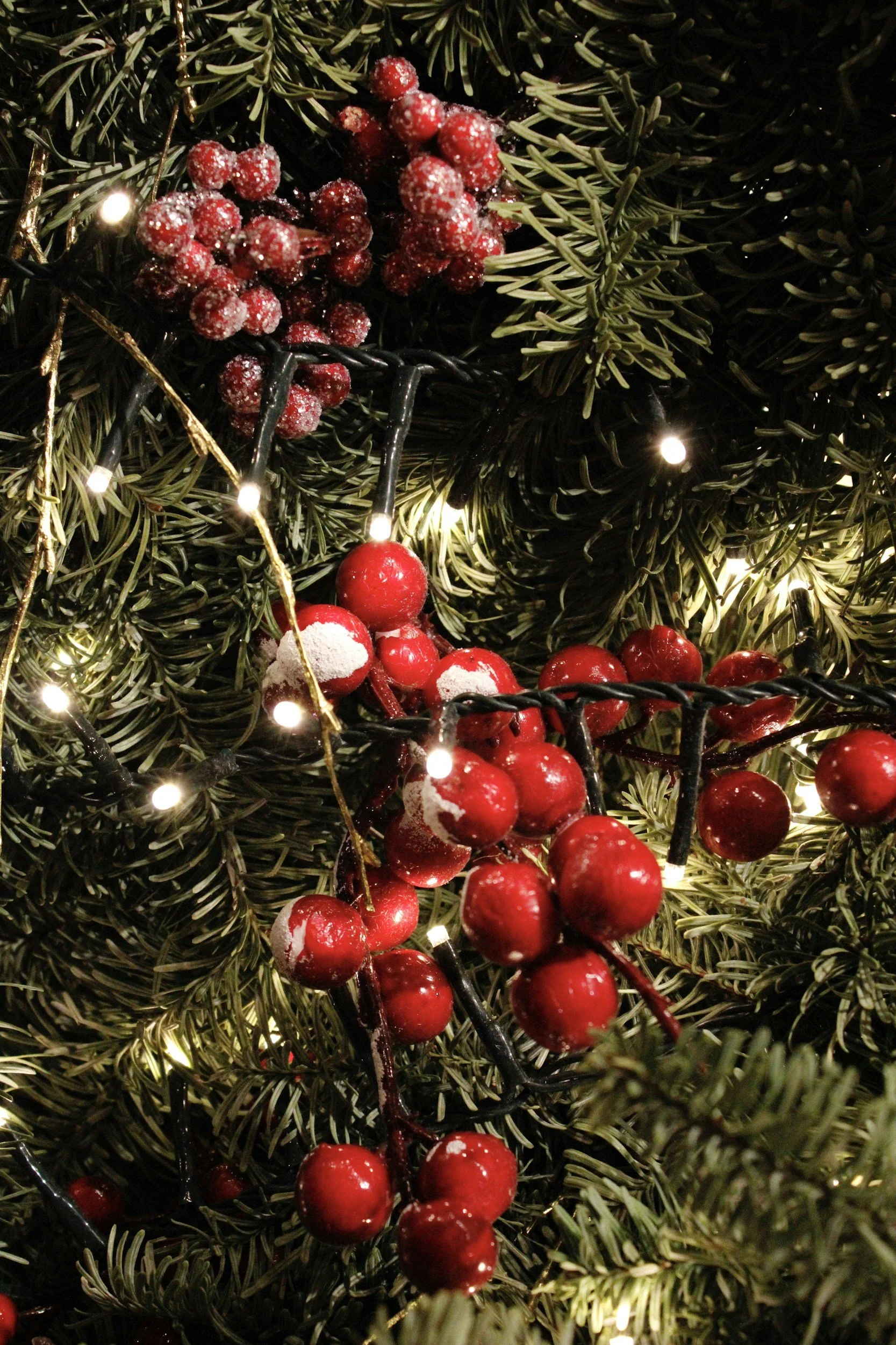 Decorate a Christmas Ornament