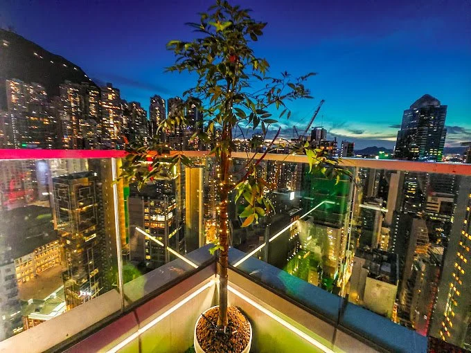 Top Town 9999991.jpg