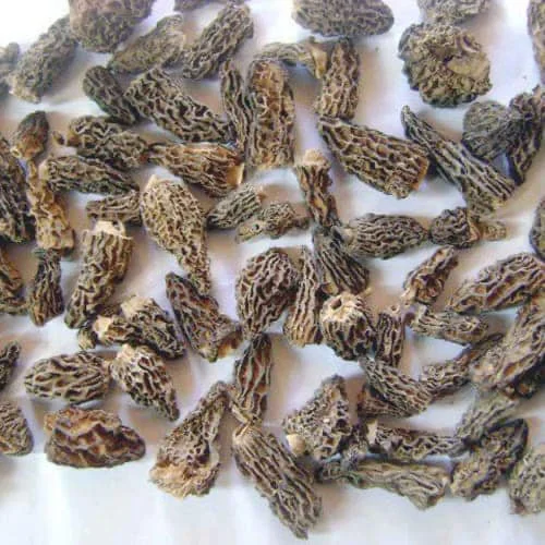 Mount Everest 21.jpg