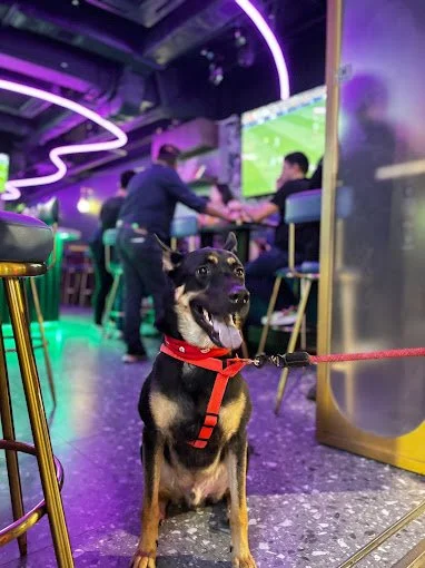 Mystic Lounge 11.jpg