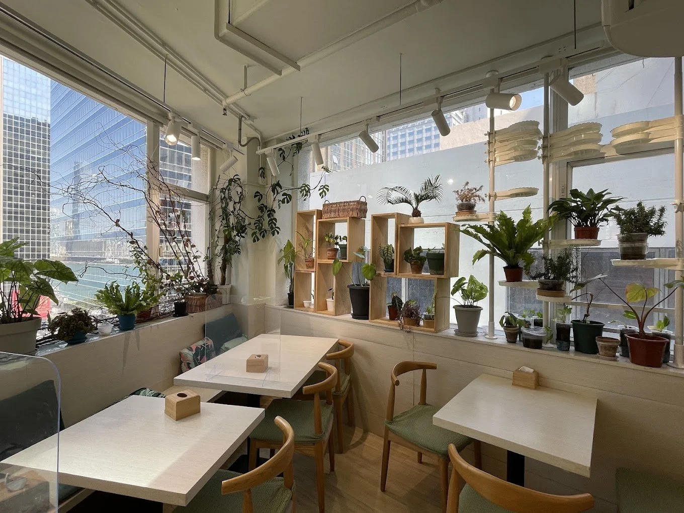 November image 1.jpg