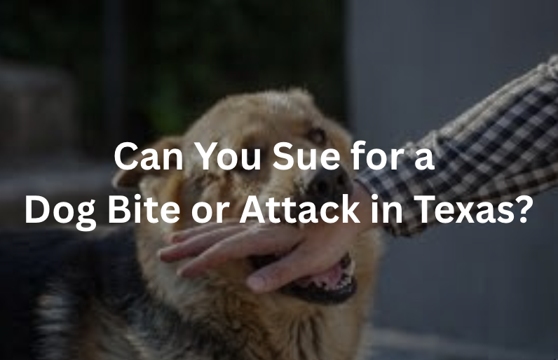 Can You Sue for a Dog Bite or Attack in Texas?
