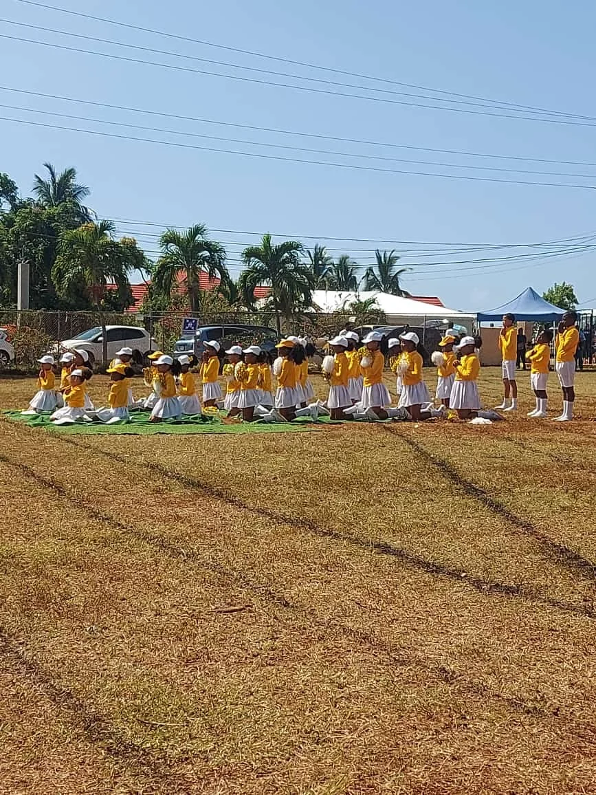 Sunflower House Cheerleaders