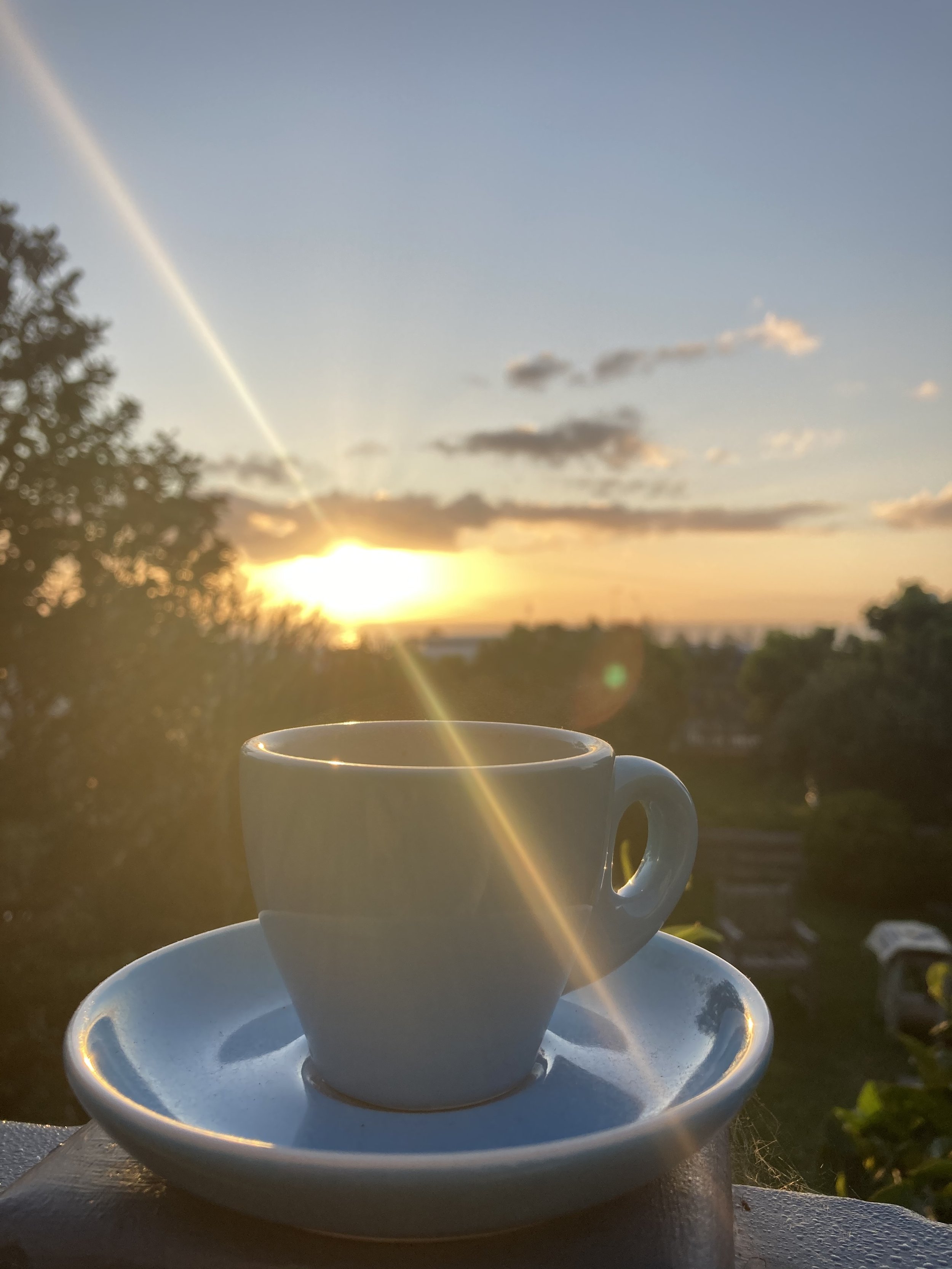 IMG_0596.jpeg