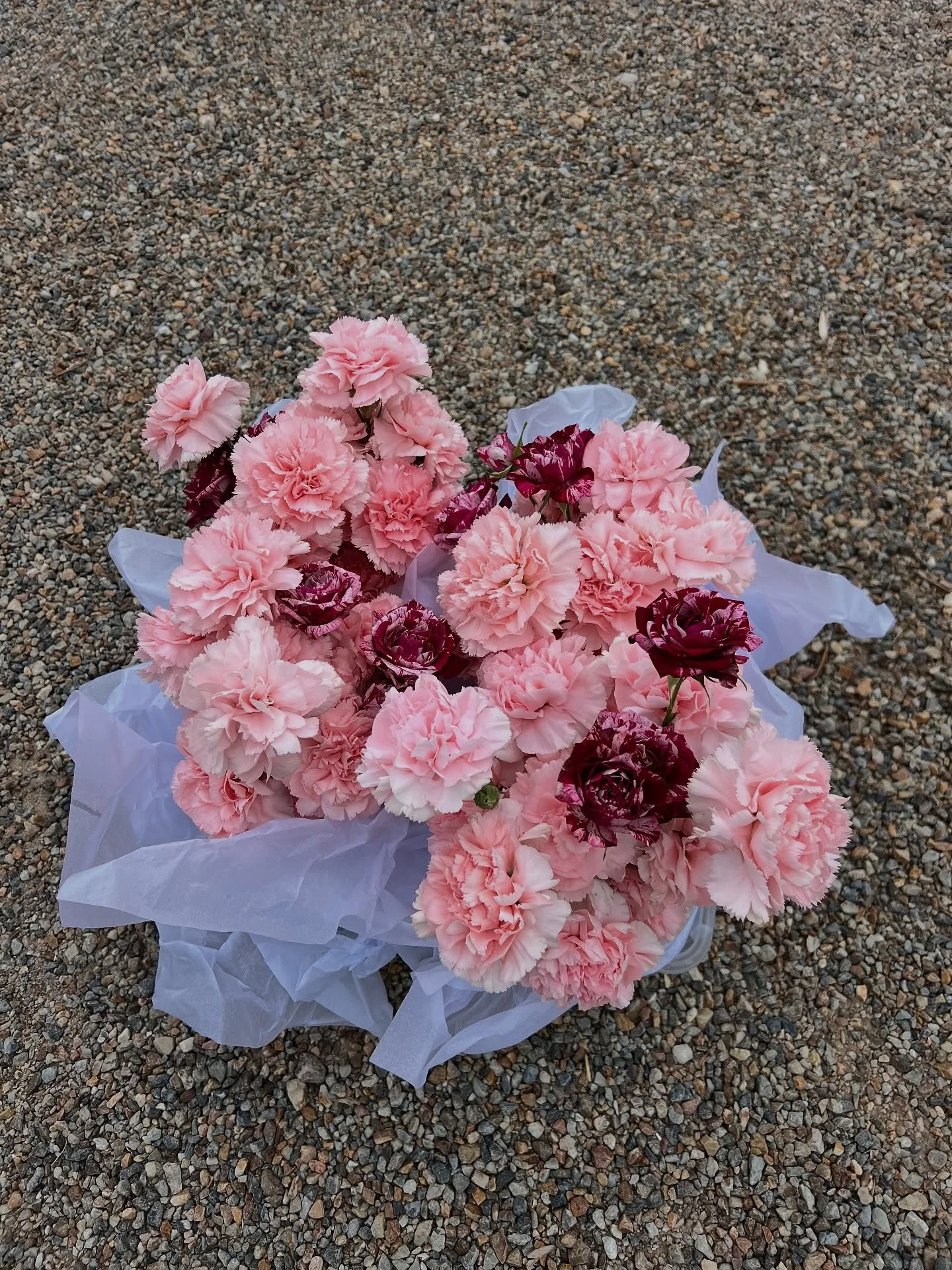 Lexie &amp; Stephen 💋💘

Adored this blush brief, for the sweetest couple 🥹💕Always a pleasure with @hausofhera__. 

Planned &amp; styled @hausofhera__ 
Venue @leviti_estates 
Florals @fontanafloral
Content @foreverandadaysocials
Stationery @maddis