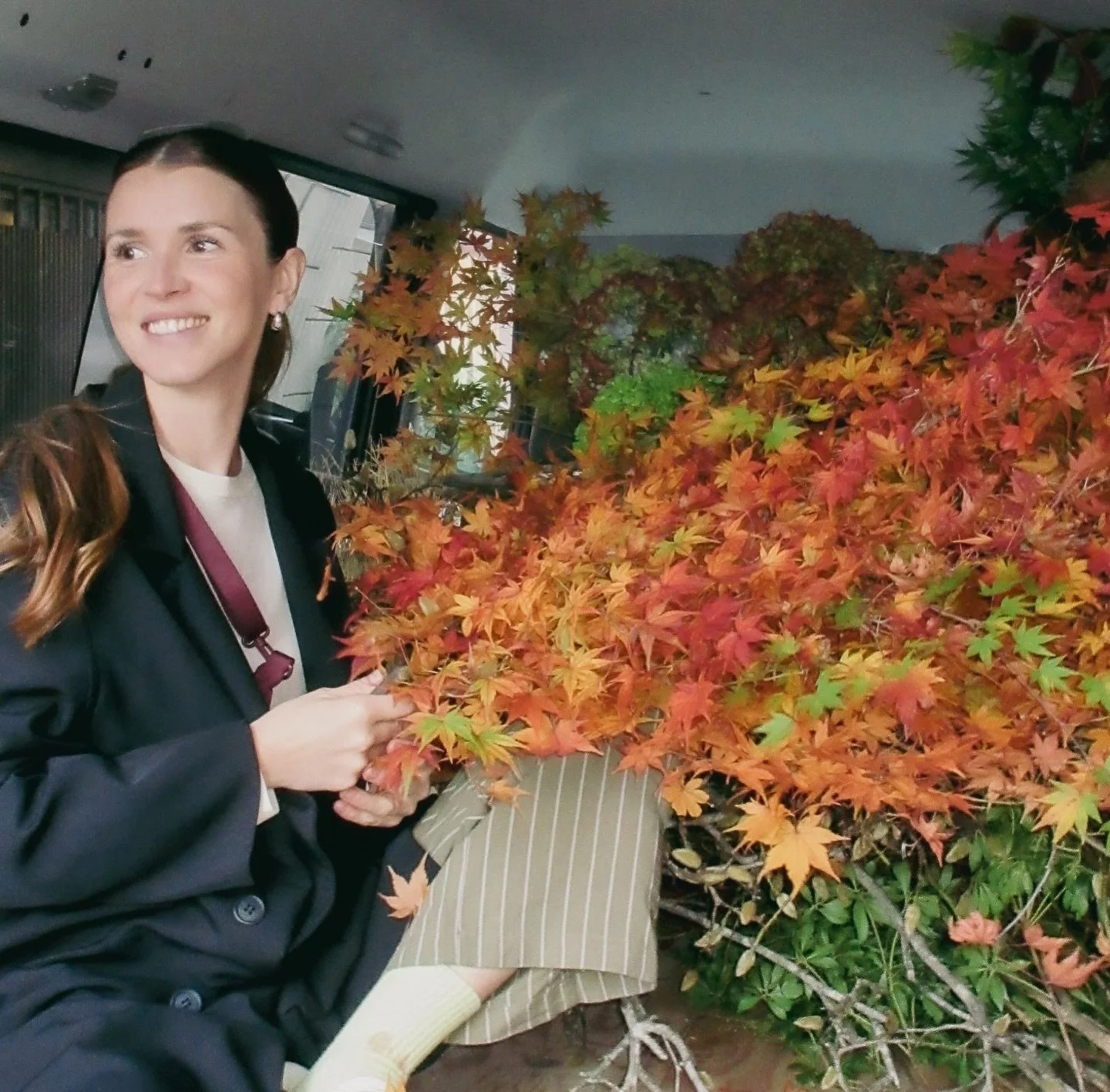 8 days in Kyoto 京都 ~ I can&rsquo;t say much about this project just yet, but what I can share is that;
- these were the nicest slipper orchids I&rsquo;ve ever laid eyes on (and they came everywhere with me),
- it couldn&rsquo;t have been a more beaut