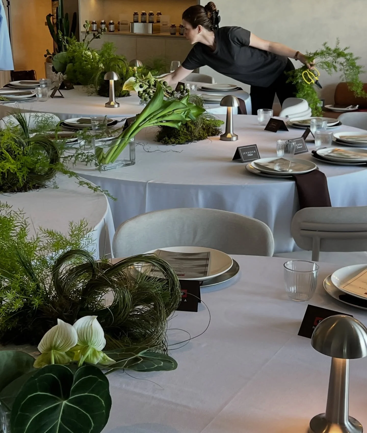 A little bit jurassic 🌿⛰️ At @mondriangoldcoast for @swissenutra with @the_createcompany