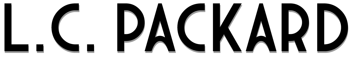 FLAMINGO CONSULTANTS GROUP