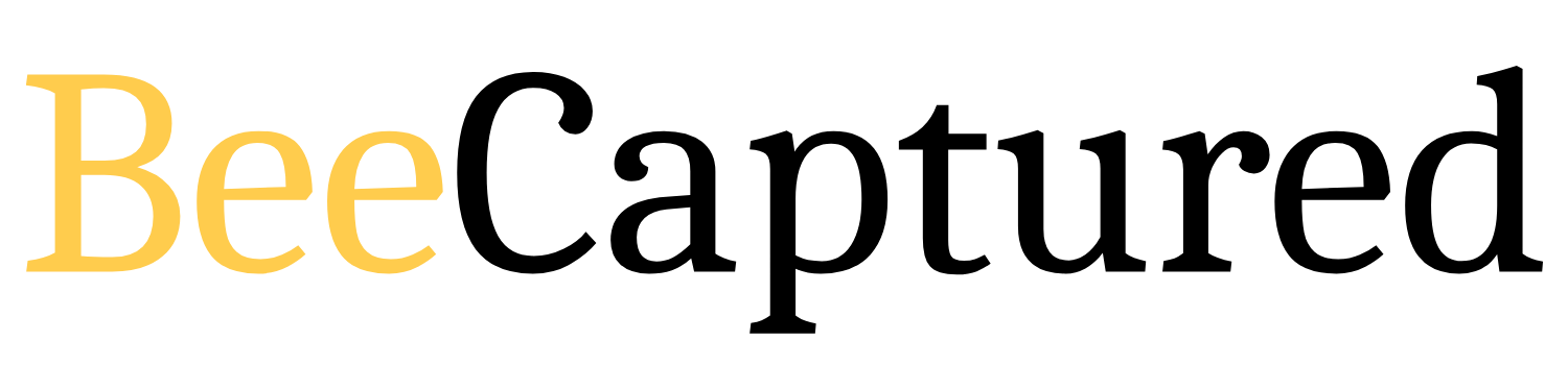 BeeCaptured