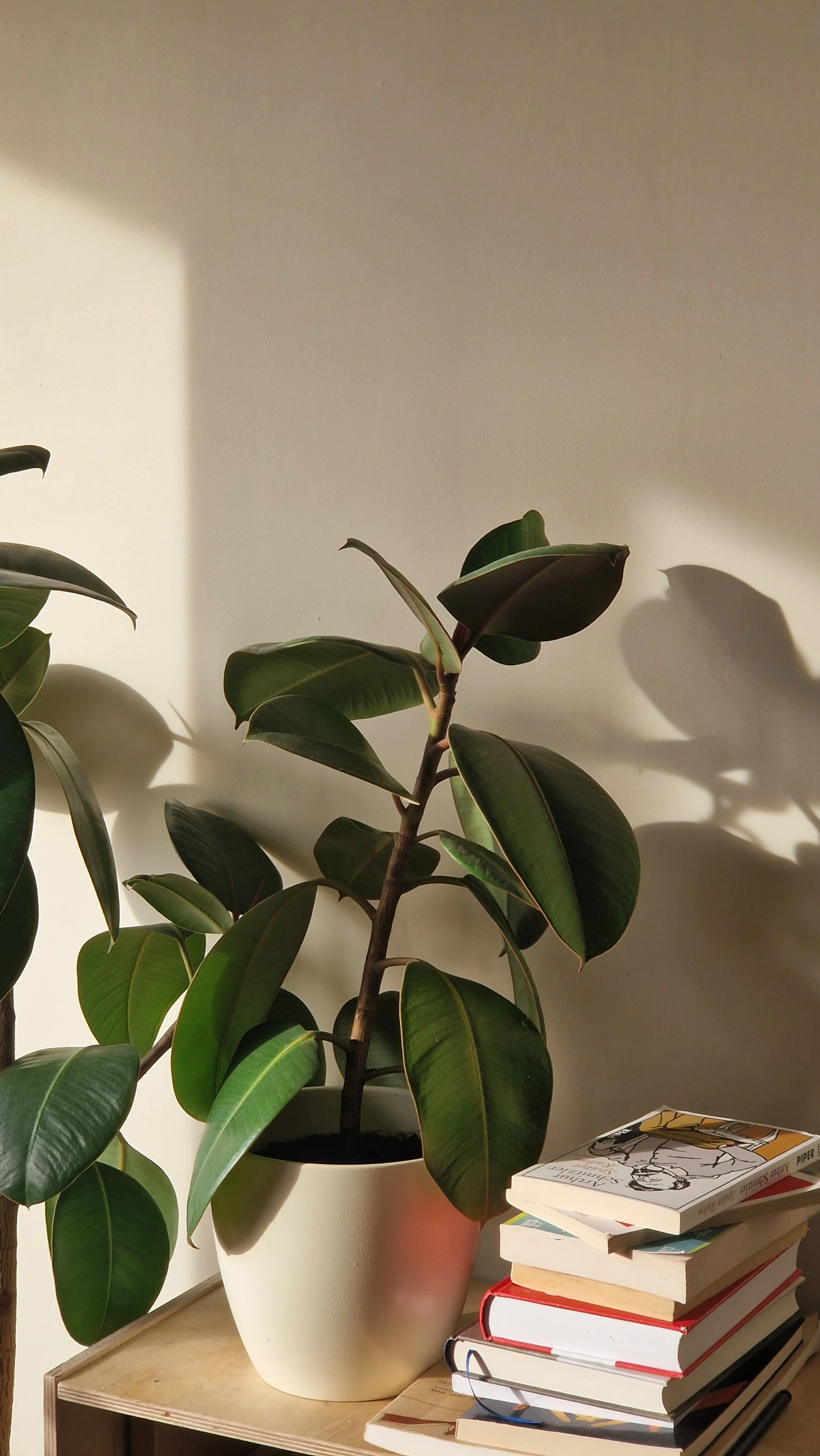 Understanding Pelvic Pain and Your Treatment Options