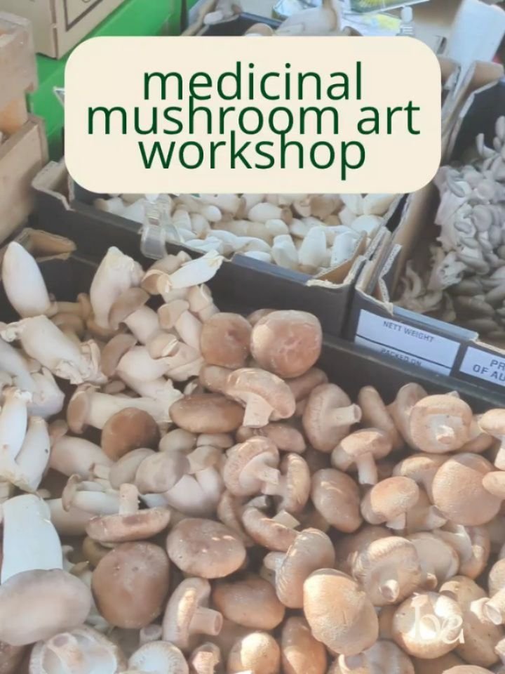 Medicinal Mushroom Art Workshop 🍄 Only 7 spots now remaining! 

This beginner-friendly art workshop is a chance to explore the healing properties of medicinal mushrooms while expressing your creativity. We&rsquo;ll dive into 4 mushrooms, learn how t