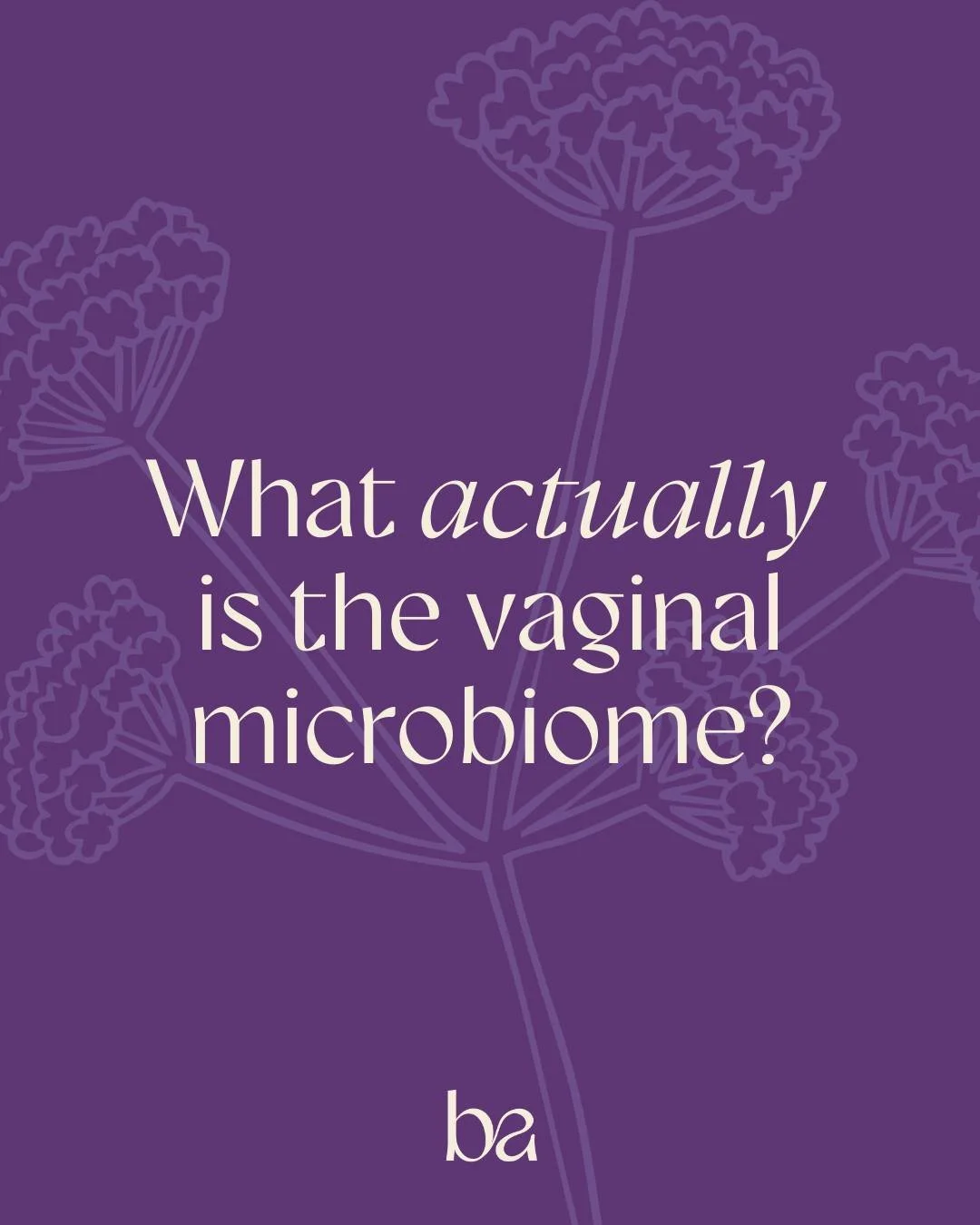 We hear about the digestive microbiome, but did you know what the v.ginal microbiome actually is?

Have you ever noticed stress, antibiotics, hormones, or new partners have influenced how you have felt?

The v.ginal microbiome is a delicate ecosystem