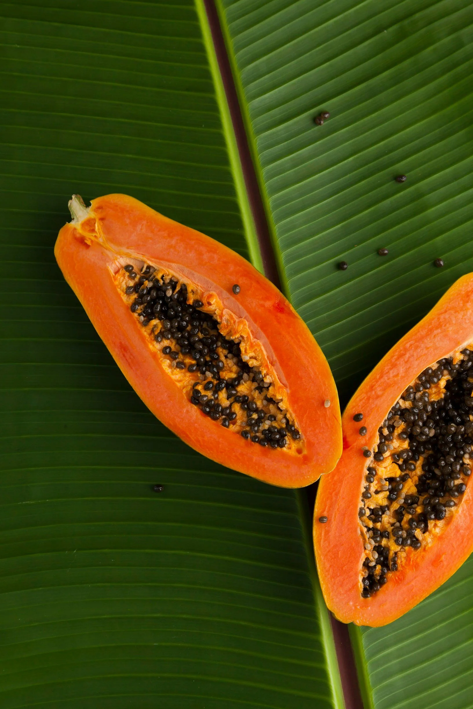 Herpes Explained: HSV-1, HSV-2, Symptoms &amp; Naturopathic Support