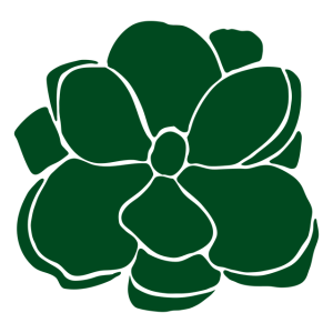 Botanical Abundance Naturopathy 