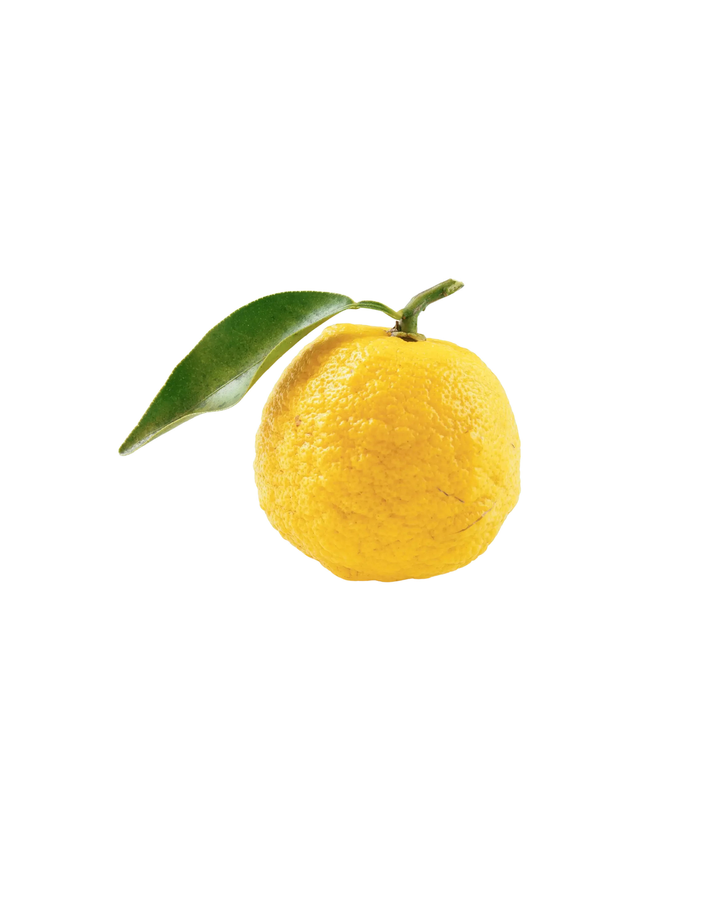 A ripe yellow lemon with a green leaf attached to its stem.