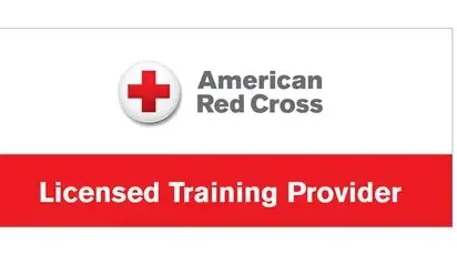 Vital CPR Training & Certifications