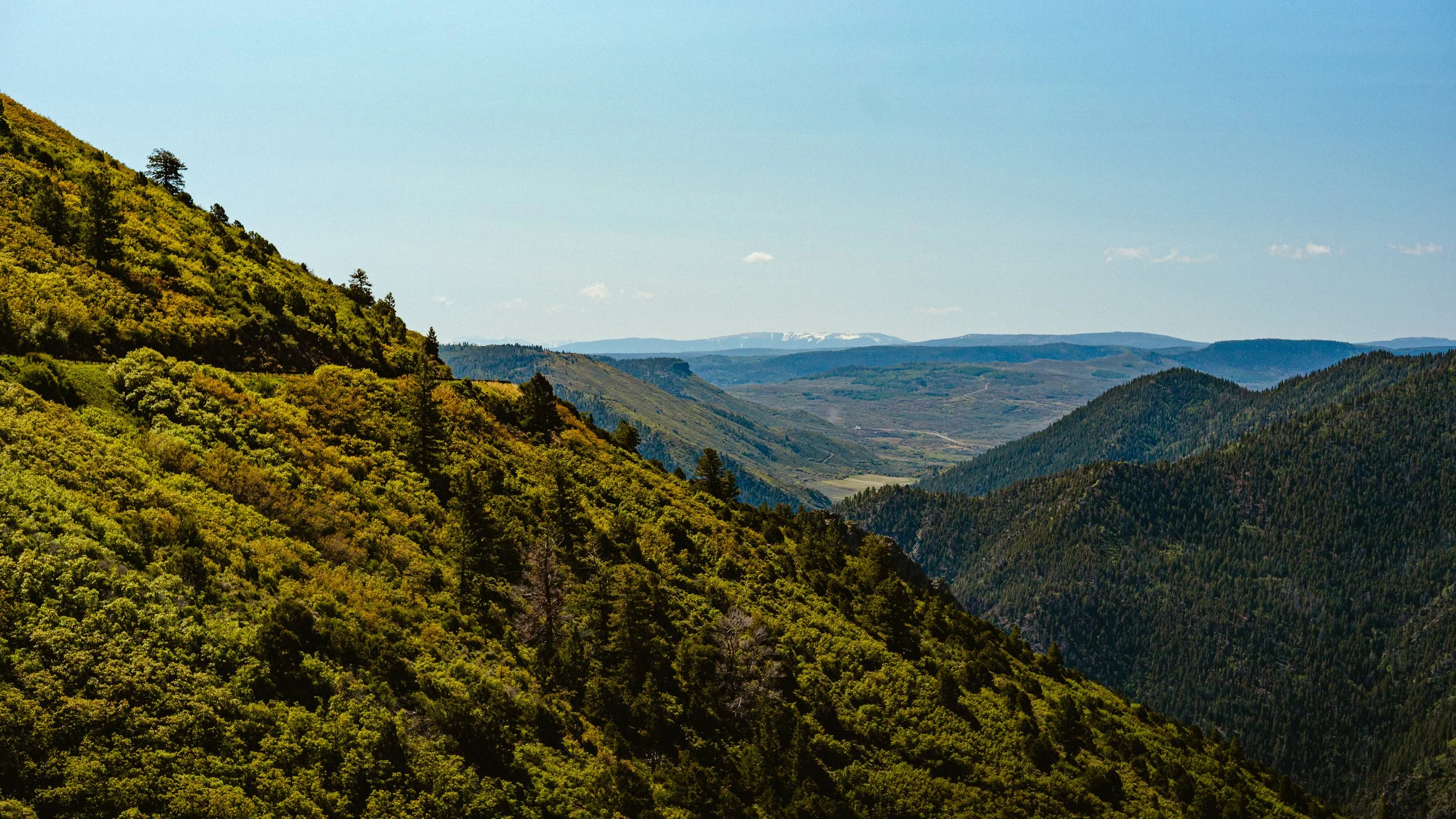 CAS BCT 25 x NHM-2.jpg