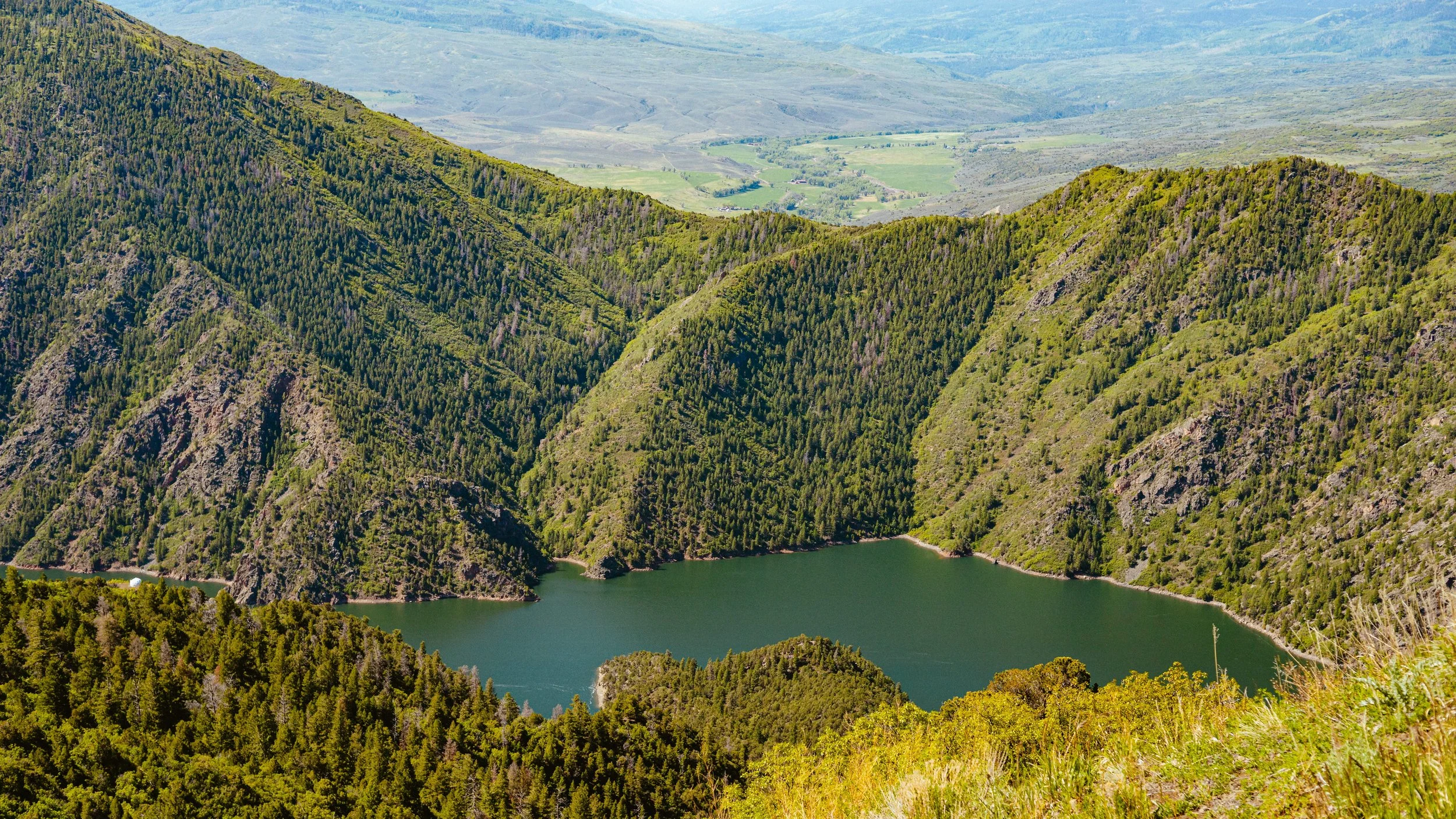 CAS BCT 25 x NHM-1.jpg