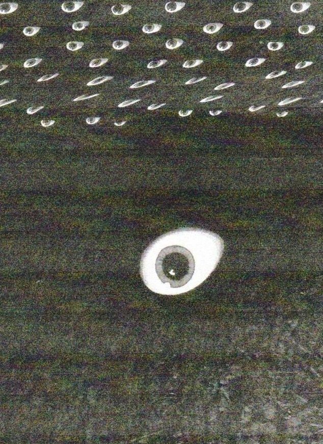 A ceiling with multiple small, oval-shaped LED lights and a nearby circular emergency light or camera.