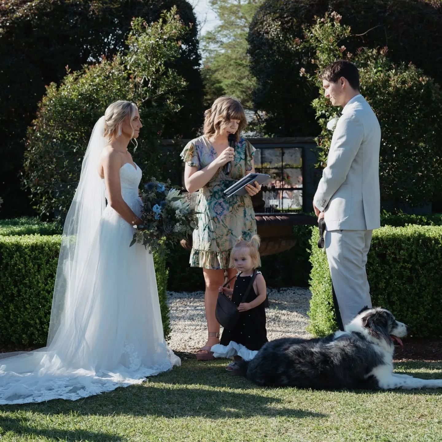 Luke &amp; Haley are surfers, soulmates, and now - husband and wife. 🌊 Their coastal wedding was so them - laidback, beautiful, full of heart. 

Their little daughter toddled around in the sunshine, and their two dogs (ring bearers, of course 🐾) co