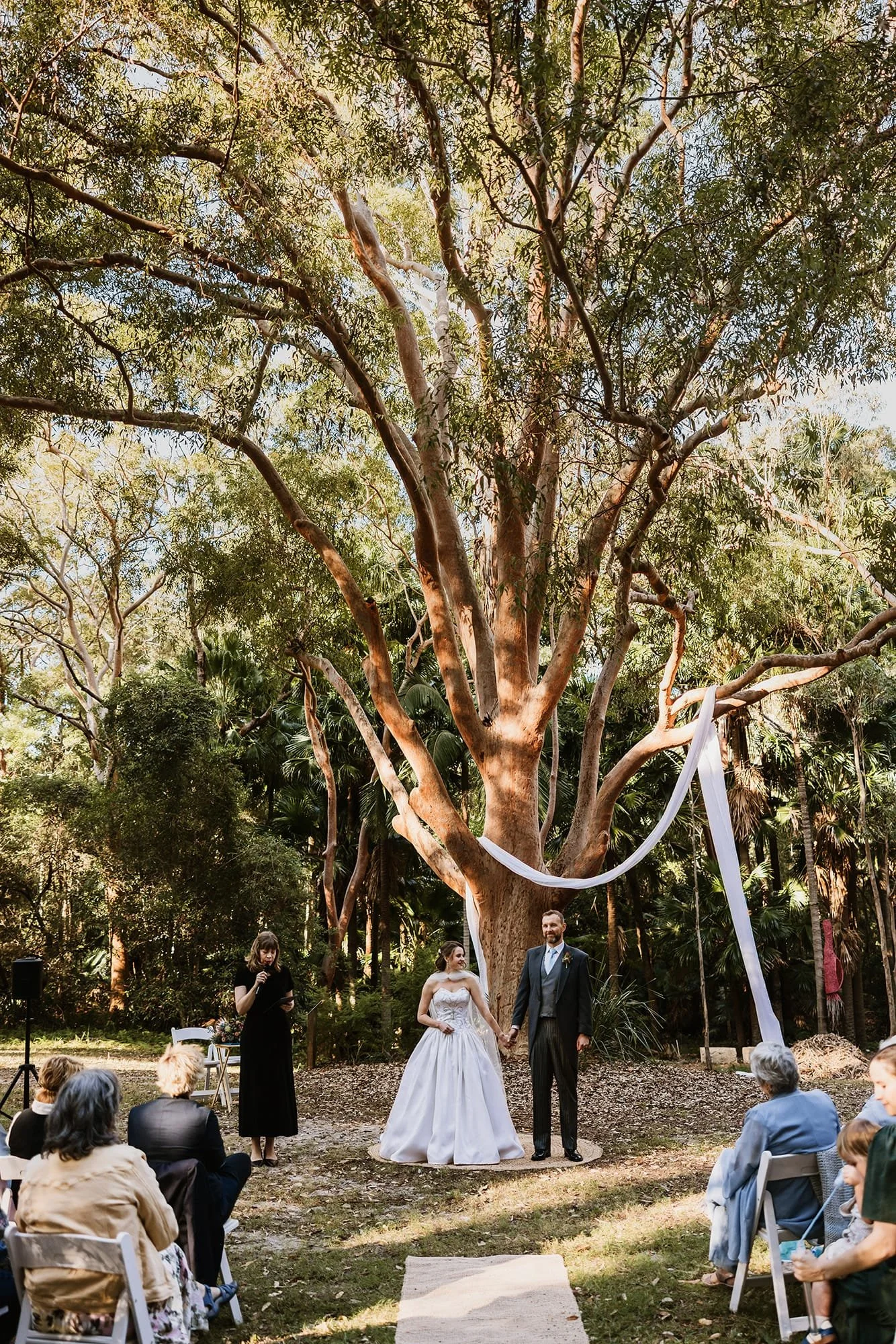 A couple in wedding attire holding hands during their outdoor wedding ceremony under a large tree with flowing white fabric decoration. Guests are seated on either side, and a officiant is speaking on the left.