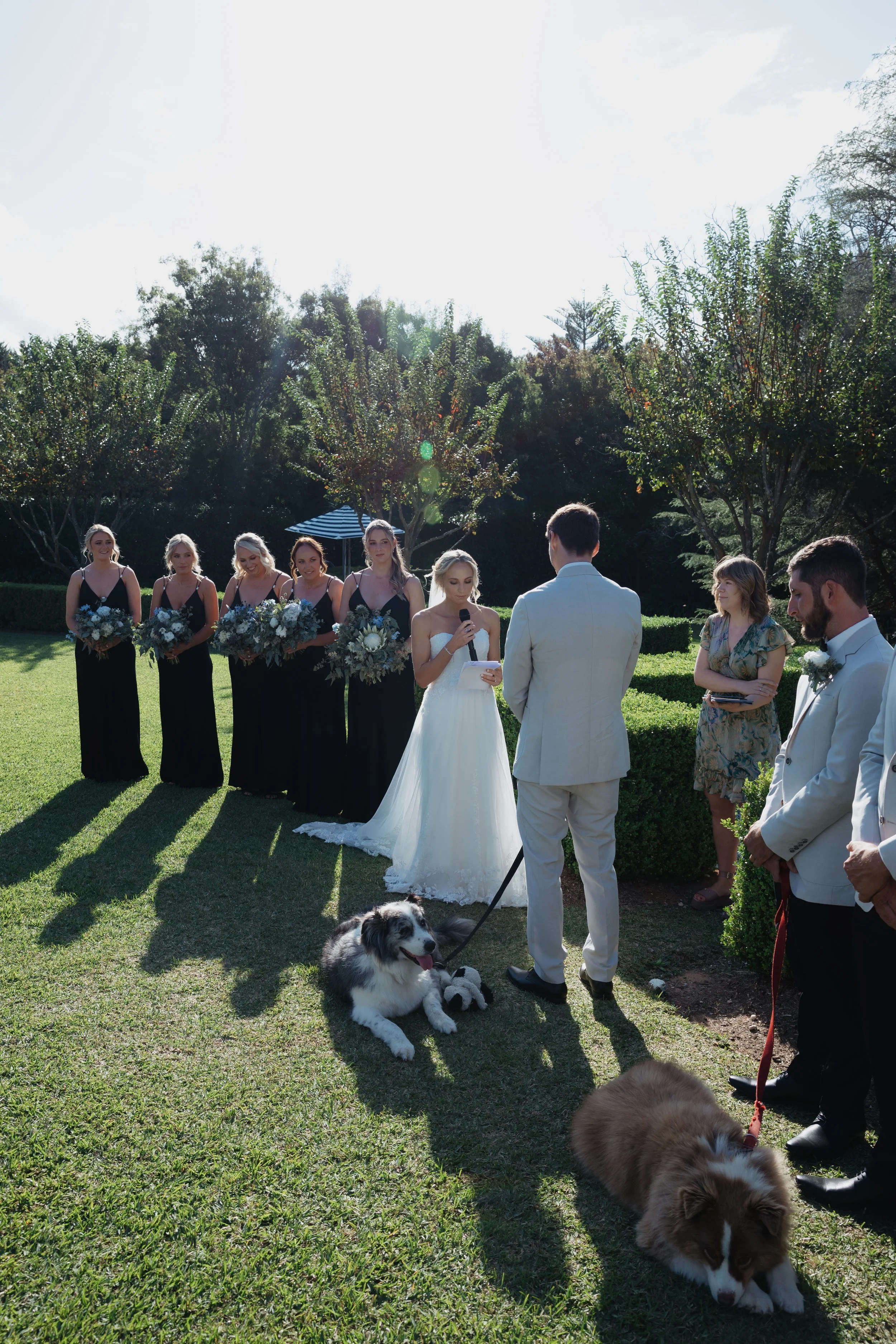 A wedding ceremony outdoors with the bride in a white dress, groom in a light suit, six bridesmaids in black dresses, and two groomsmen in light suits. The bride is reading vows into a microphone. There are two dogs in front, one lying down and the o