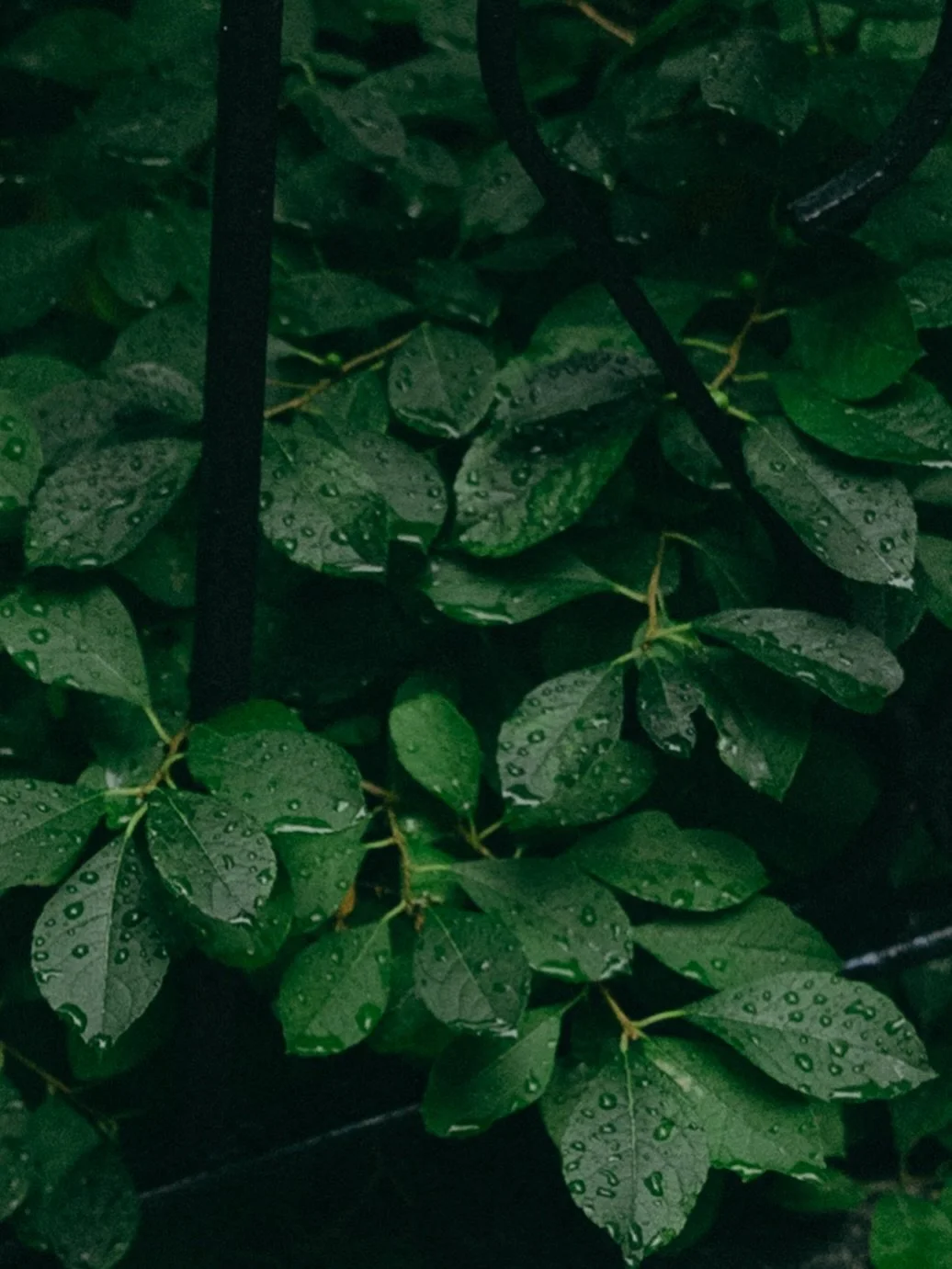 You may be wondering why I took a break from posting, and I&rsquo;m suddenly back on your feed. I think we can all recognize the heaviness that lies in our hearts every single day. Forced to carry on as though nothing is happening, like our neighbors