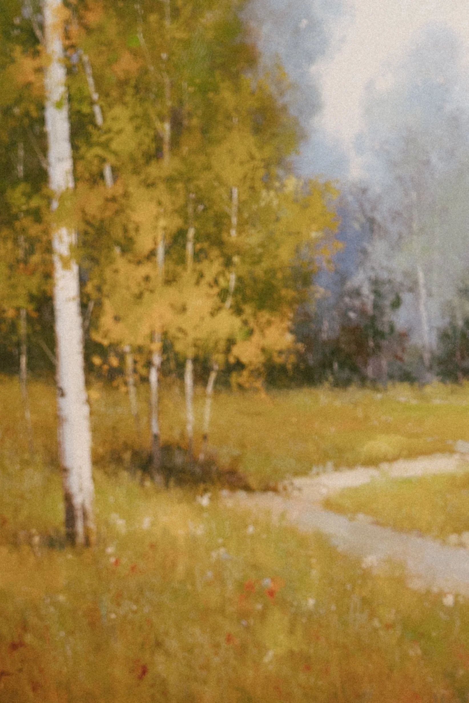 A dirt path running through a grassy area with trees, some with white bark, and orange and yellow leaves, under a cloudy sky.