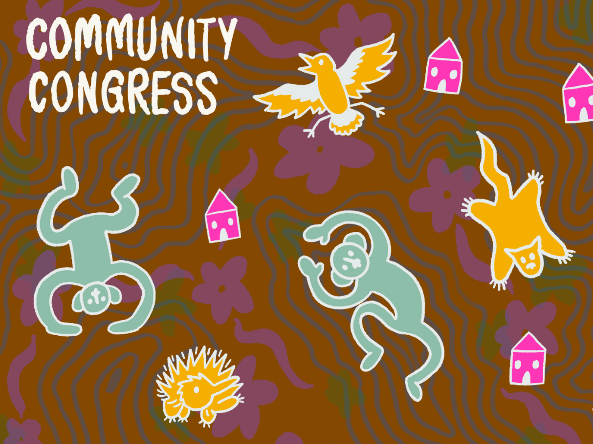Disaster Wise - Community Congress