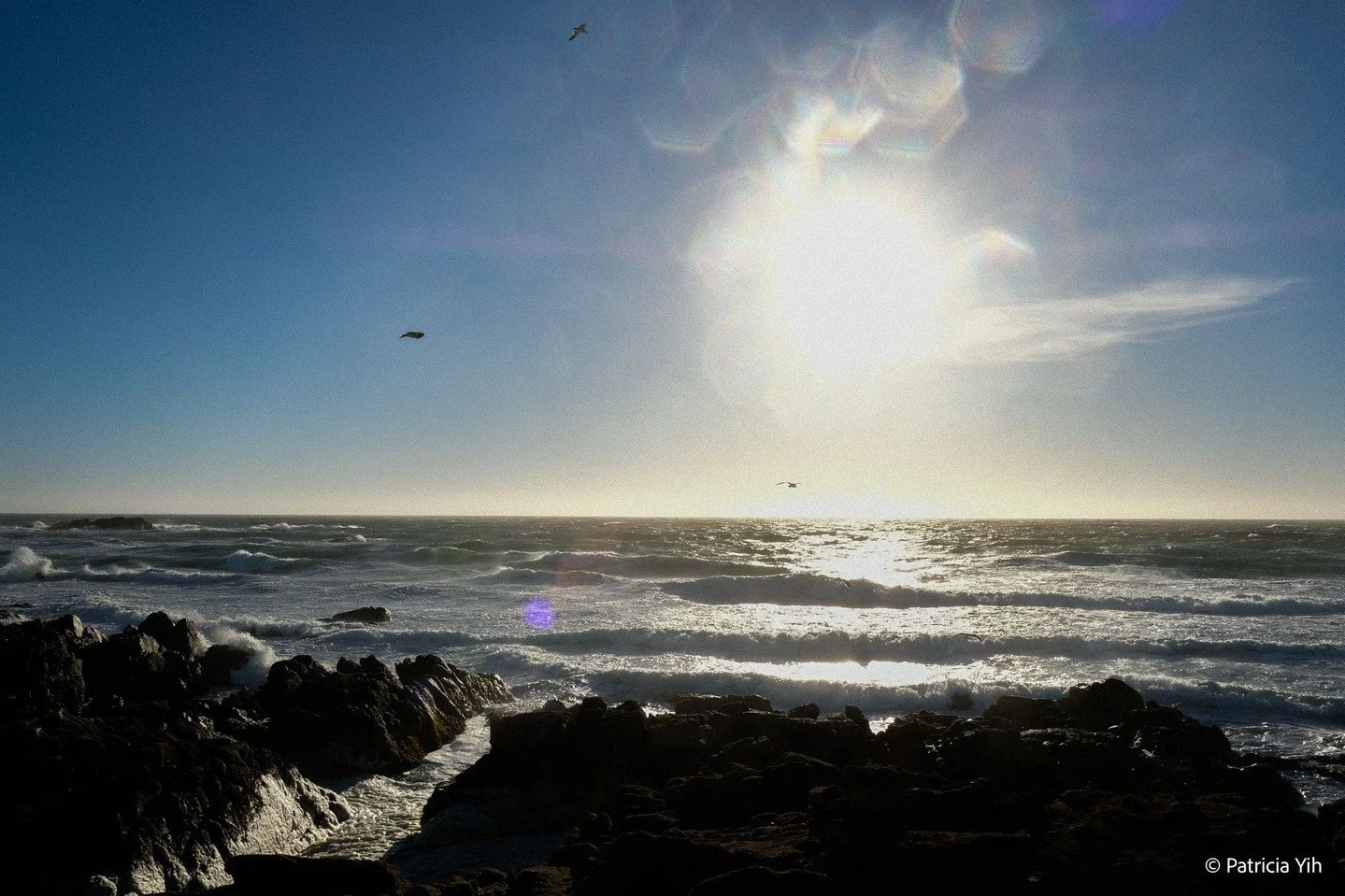 ✨ Blinded by the beauty of this sunlit coastline! 🌊☀️ The iconic 17-Mile Drive in California serves up yet another masterpiece with its dazzling blue skies, shimmering waves, and lens flare magic. 💙🚗

This place is the definition of peace, power, 