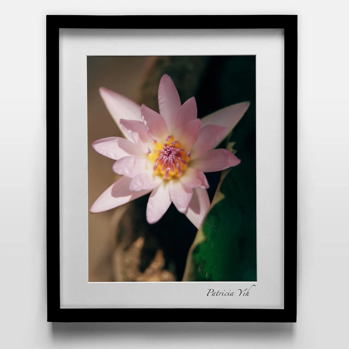 The Lily of The Valley