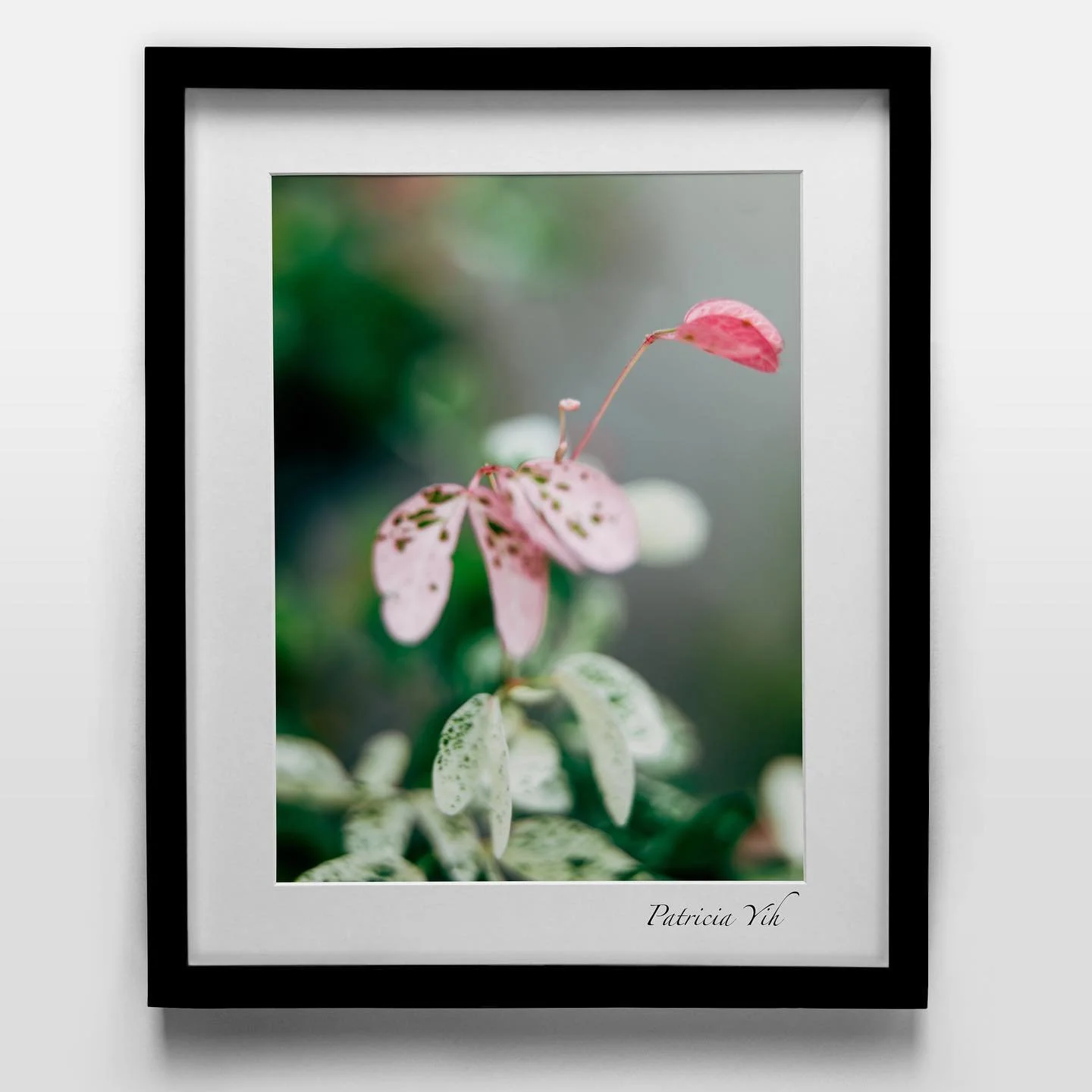 Blowin in the wind&hellip;.