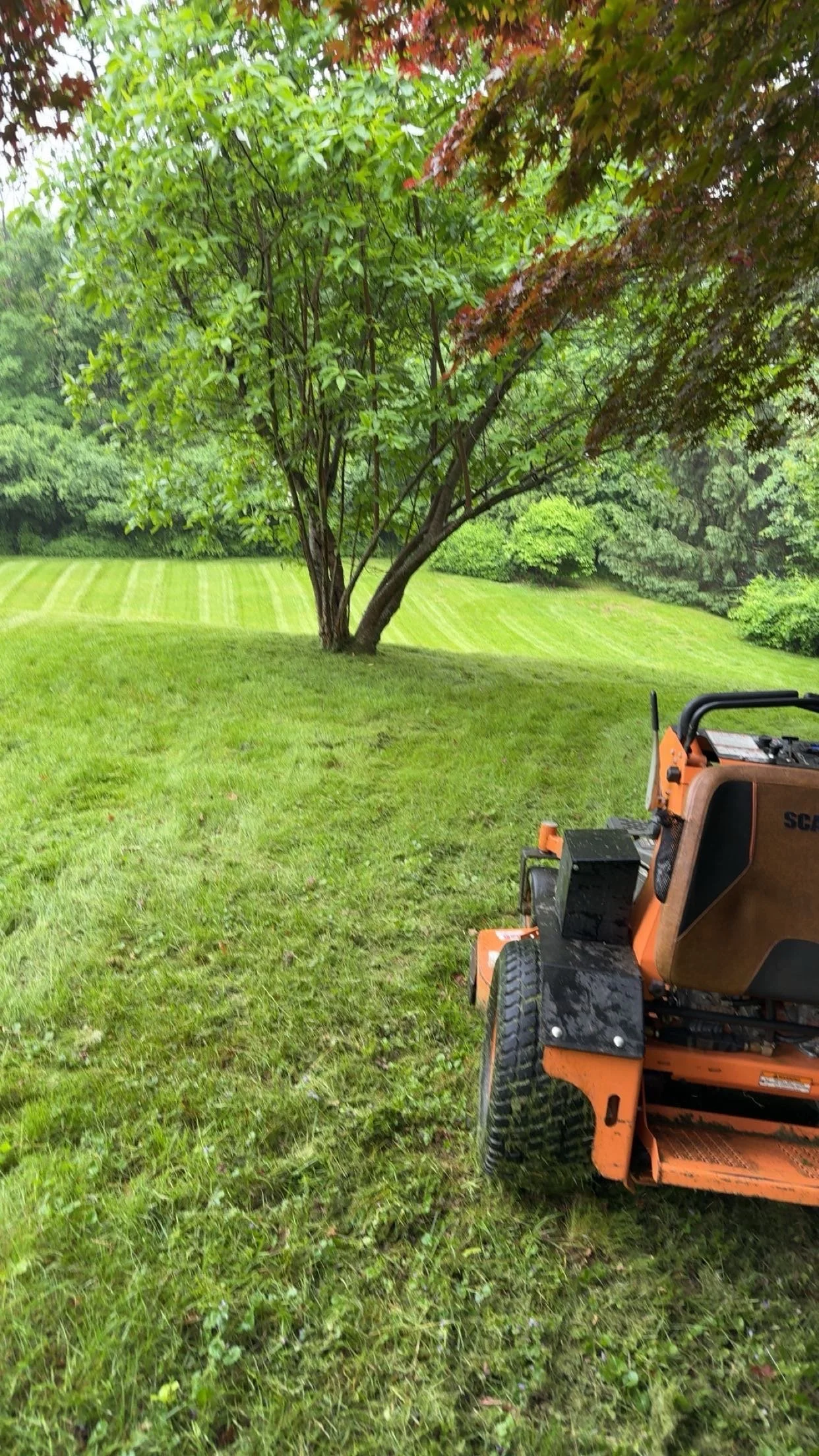 Residential Lawn Maintenance (Subscription)