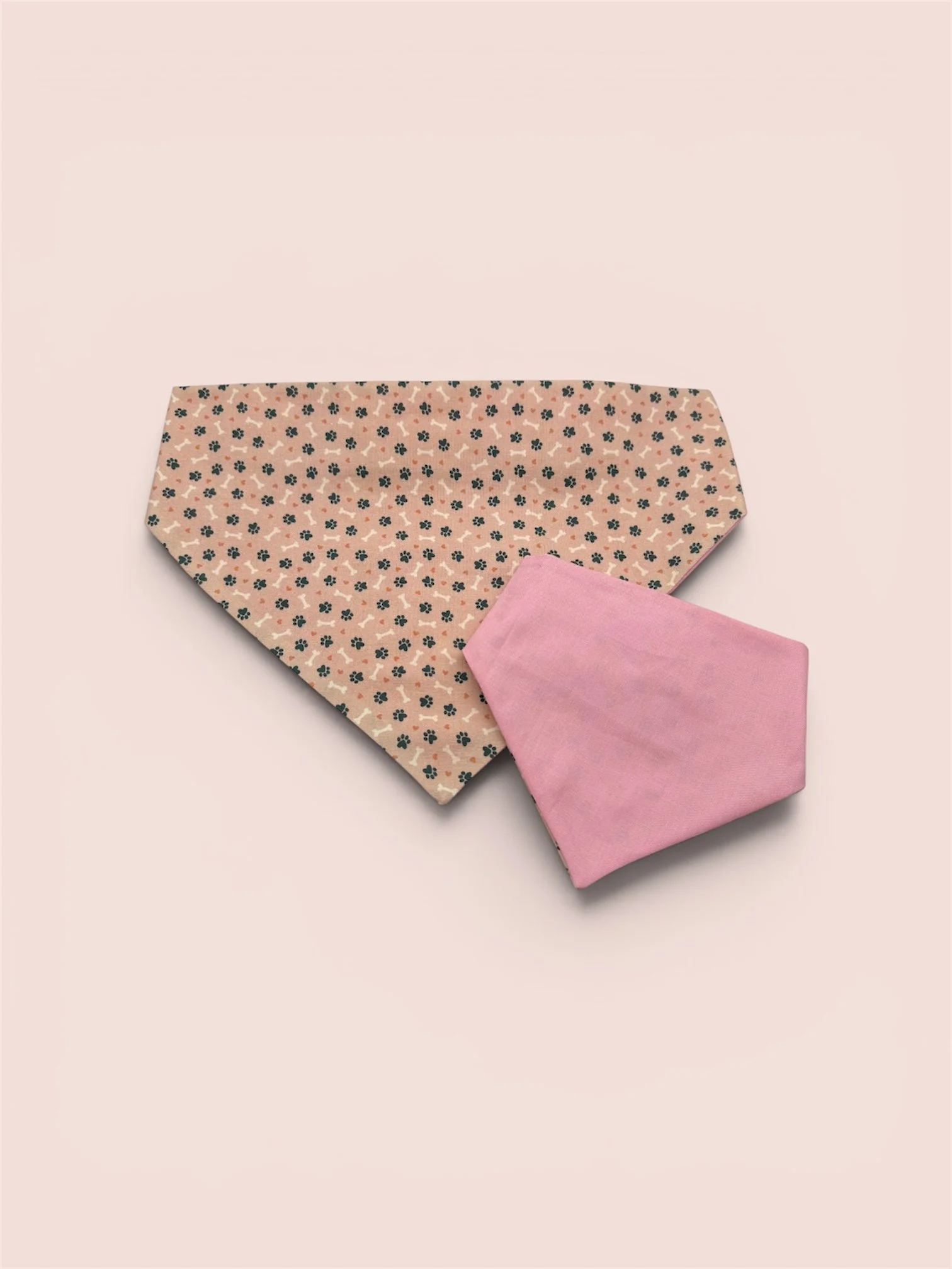 Fetch & Wander PINK pink background.JPG.JPG