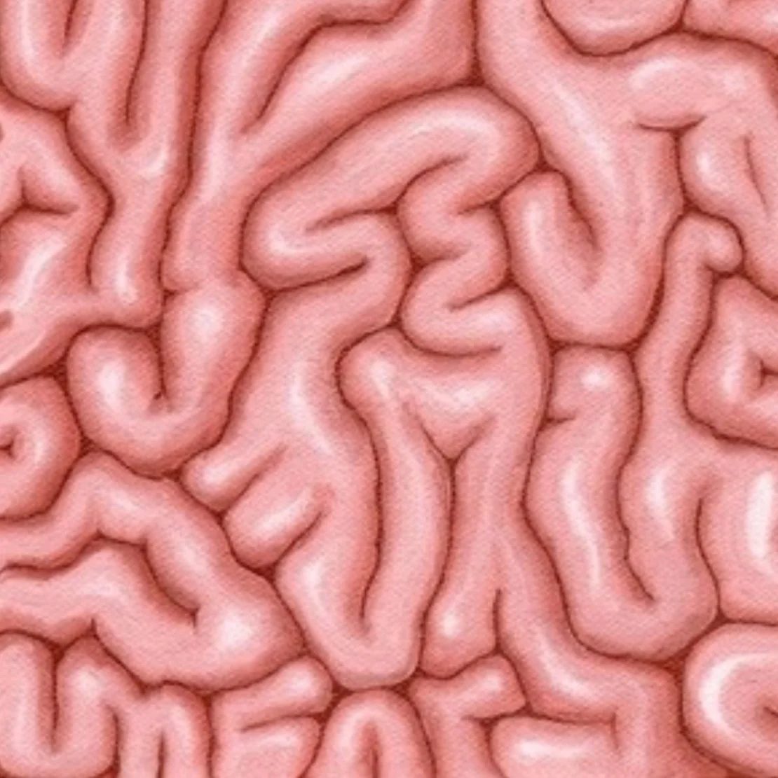 Mindscape LOW RES .jpg