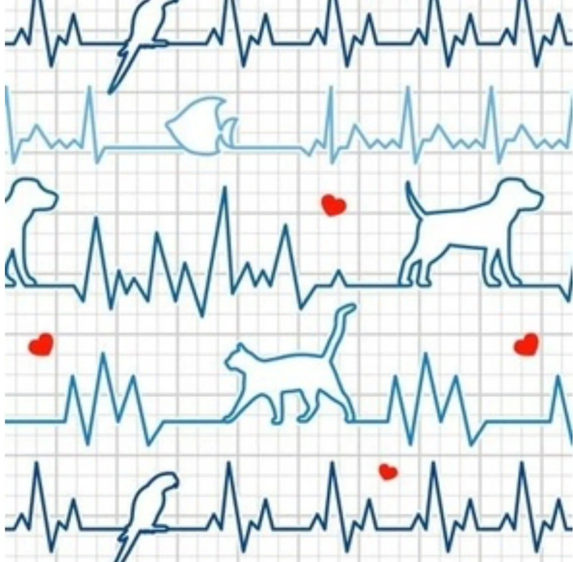 Love in Every Beat LOW RES .jpg